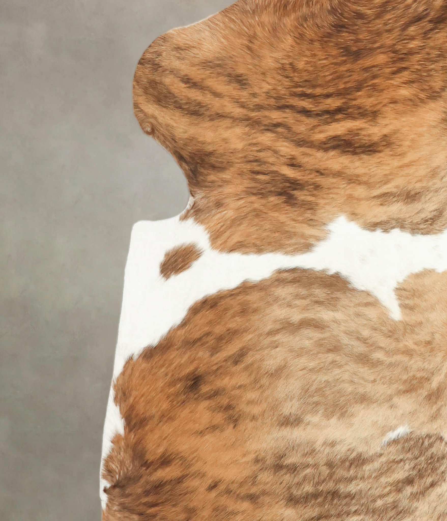 Tricolor Cowhide Rug #B5723