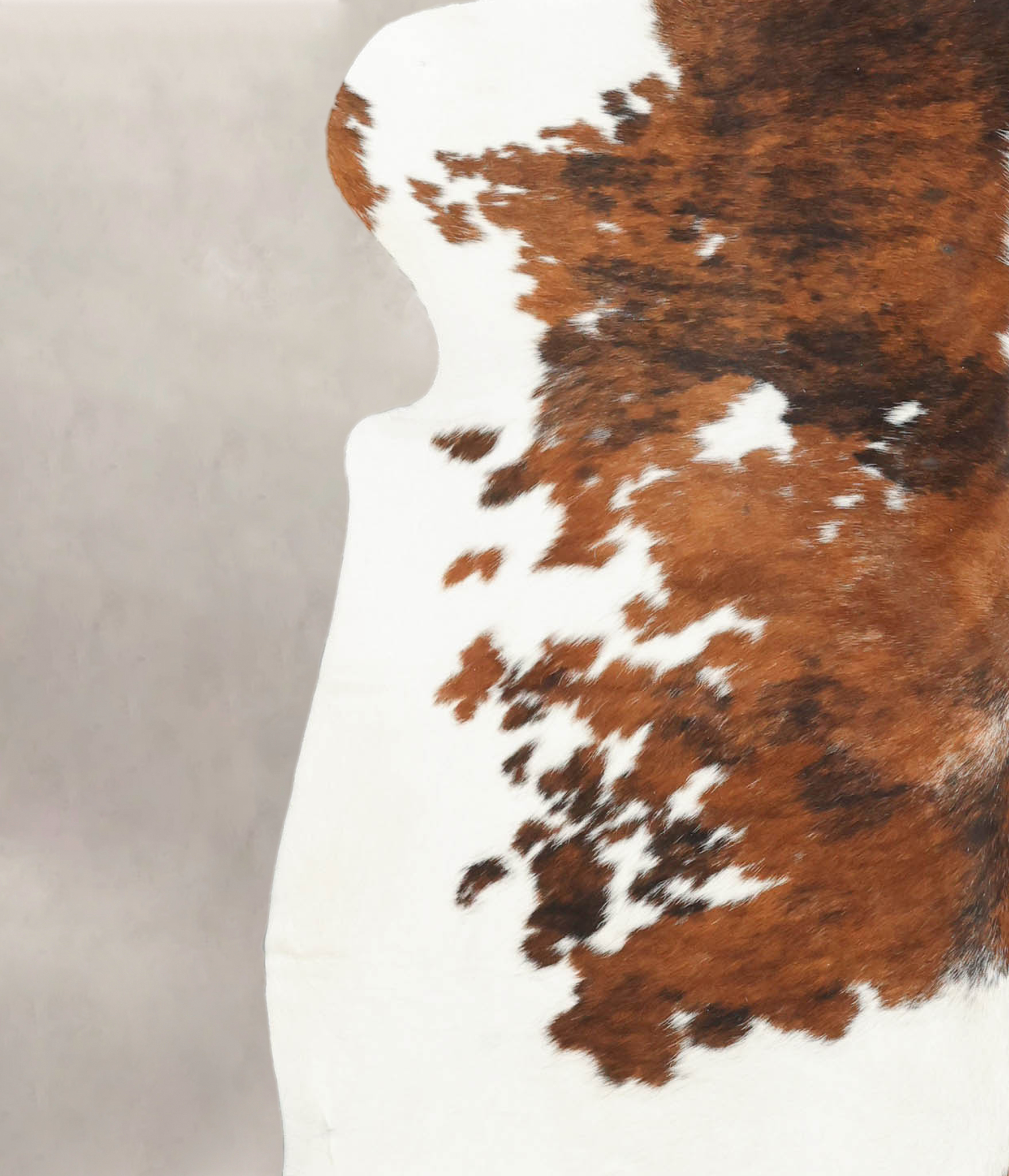 Tricolor Cowhide Rug #B5724