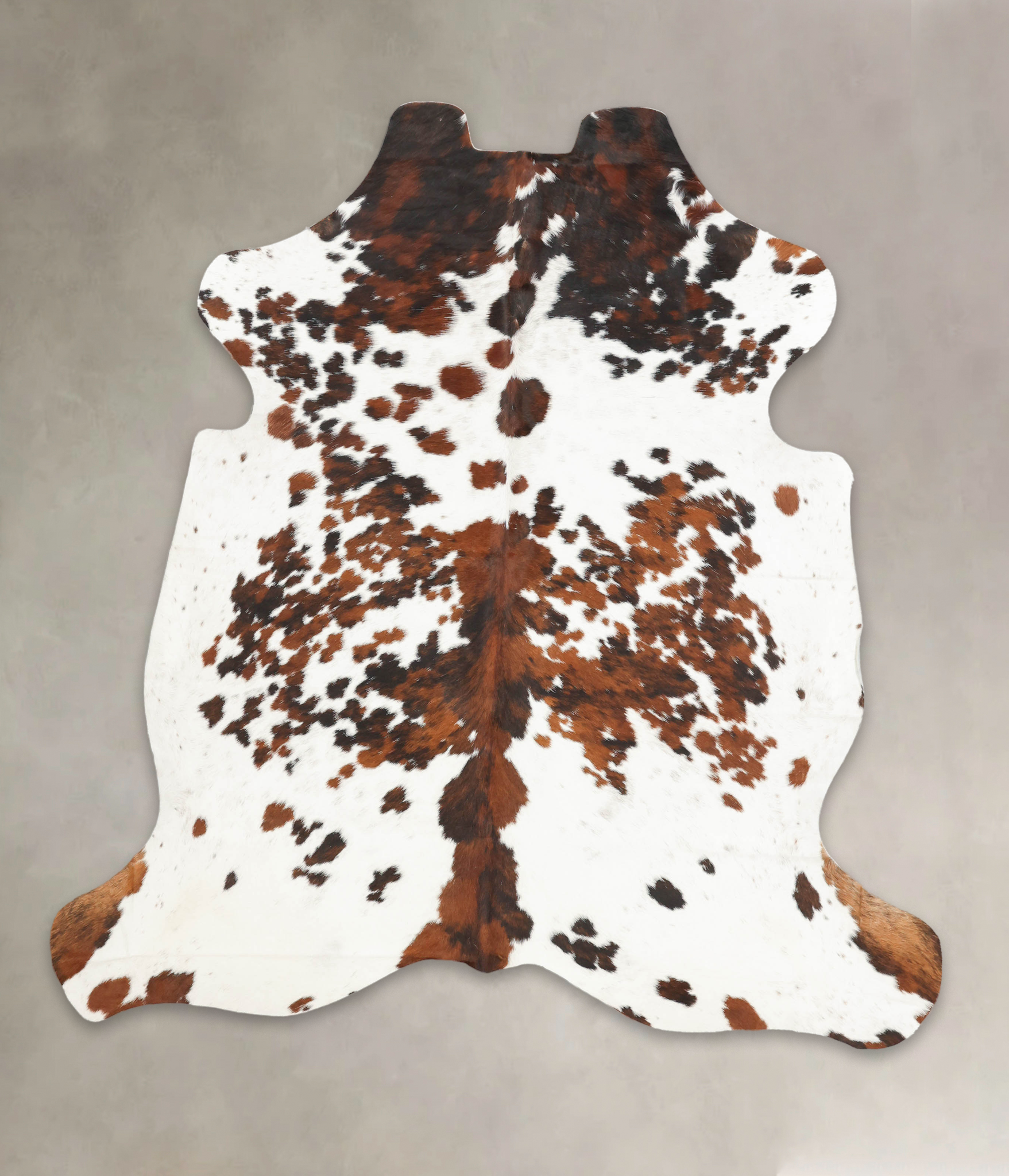 Tricolor Cowhide Rug #B5726