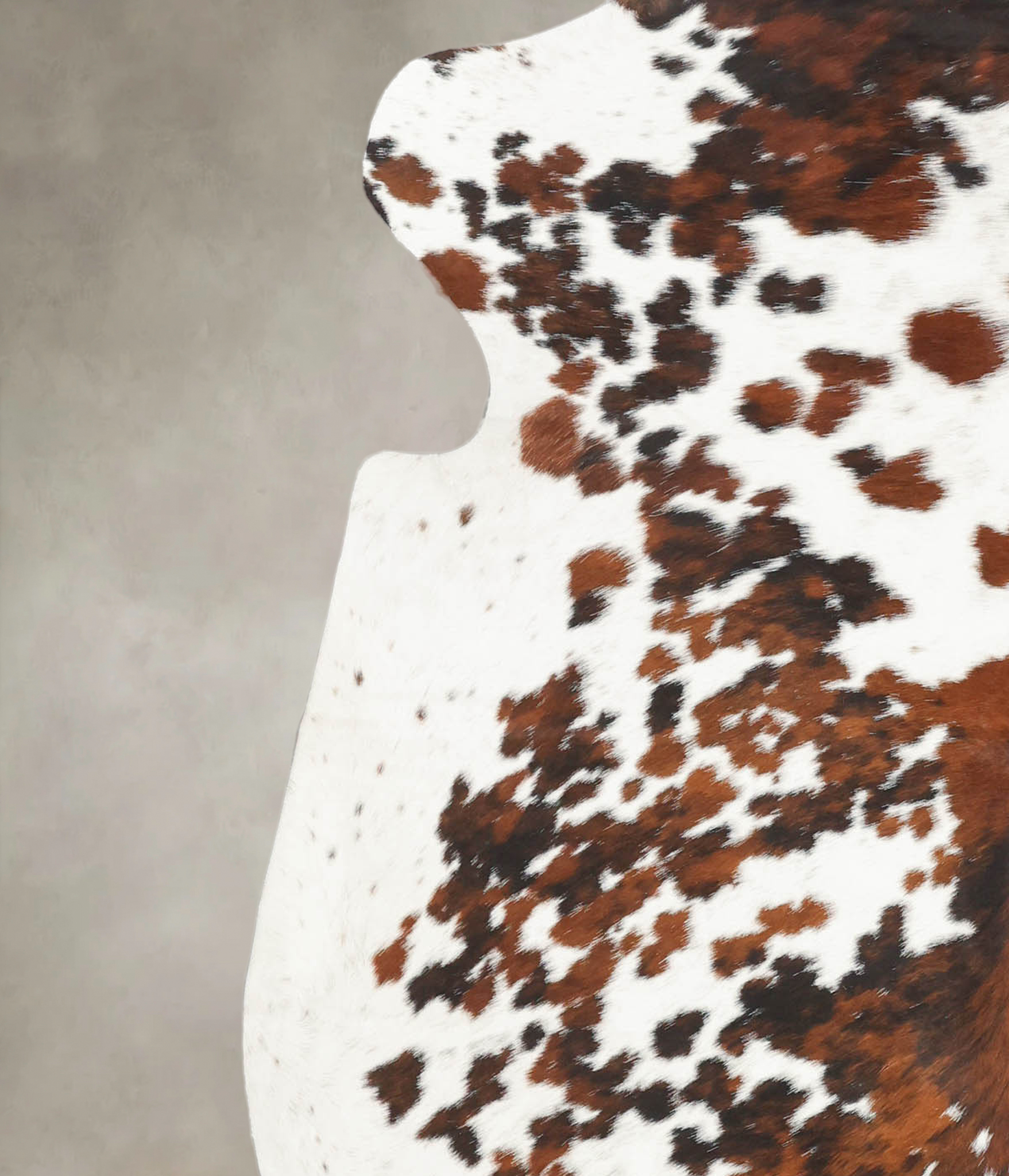 Tricolor Cowhide Rug #B5726