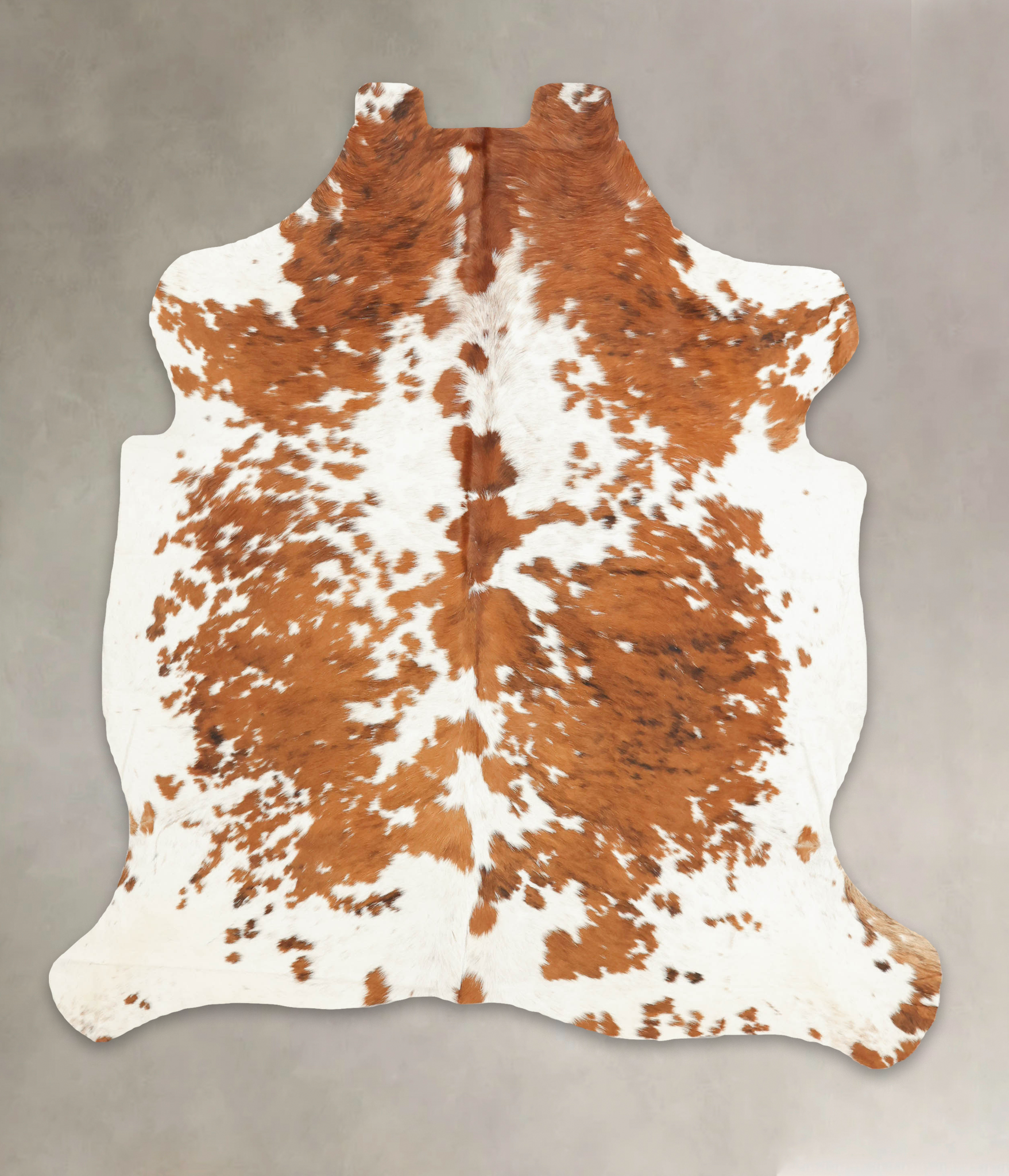 Tricolor Cowhide Rug #B5728