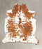 Tricolor Large European Cowhide Rug 6'6