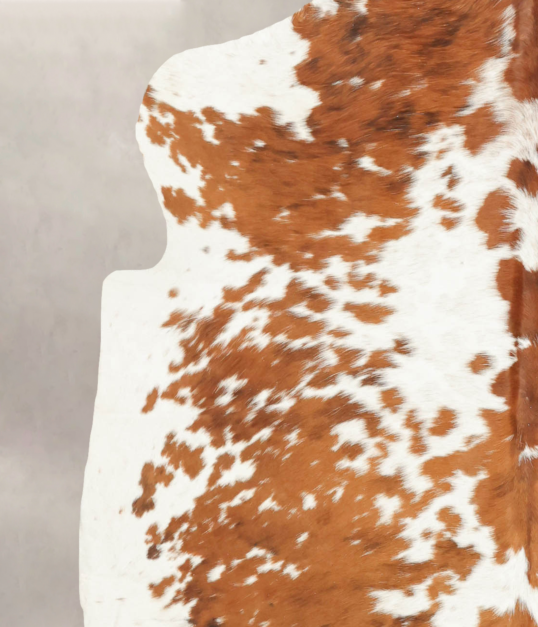 Tricolor Cowhide Rug #B5728