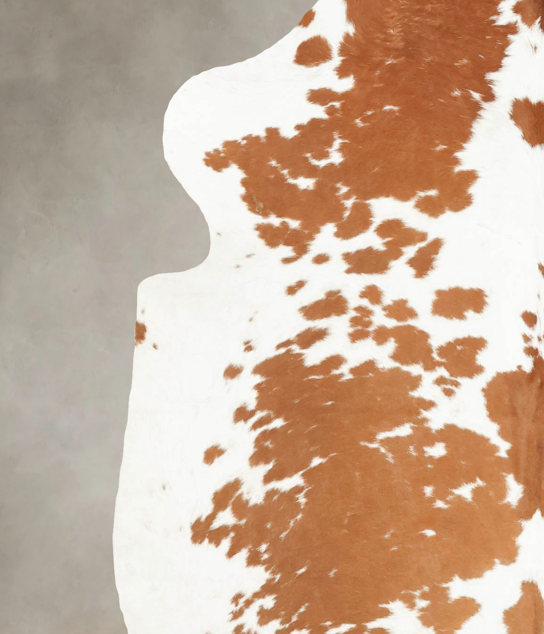 Brown and White Cowhide Rug #B5729