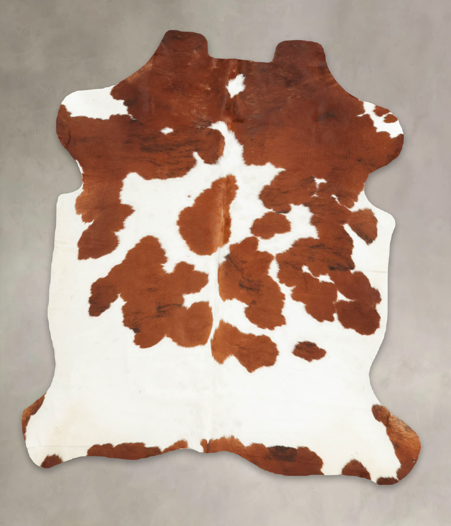 Brown and White Cowhide Rug #B5746