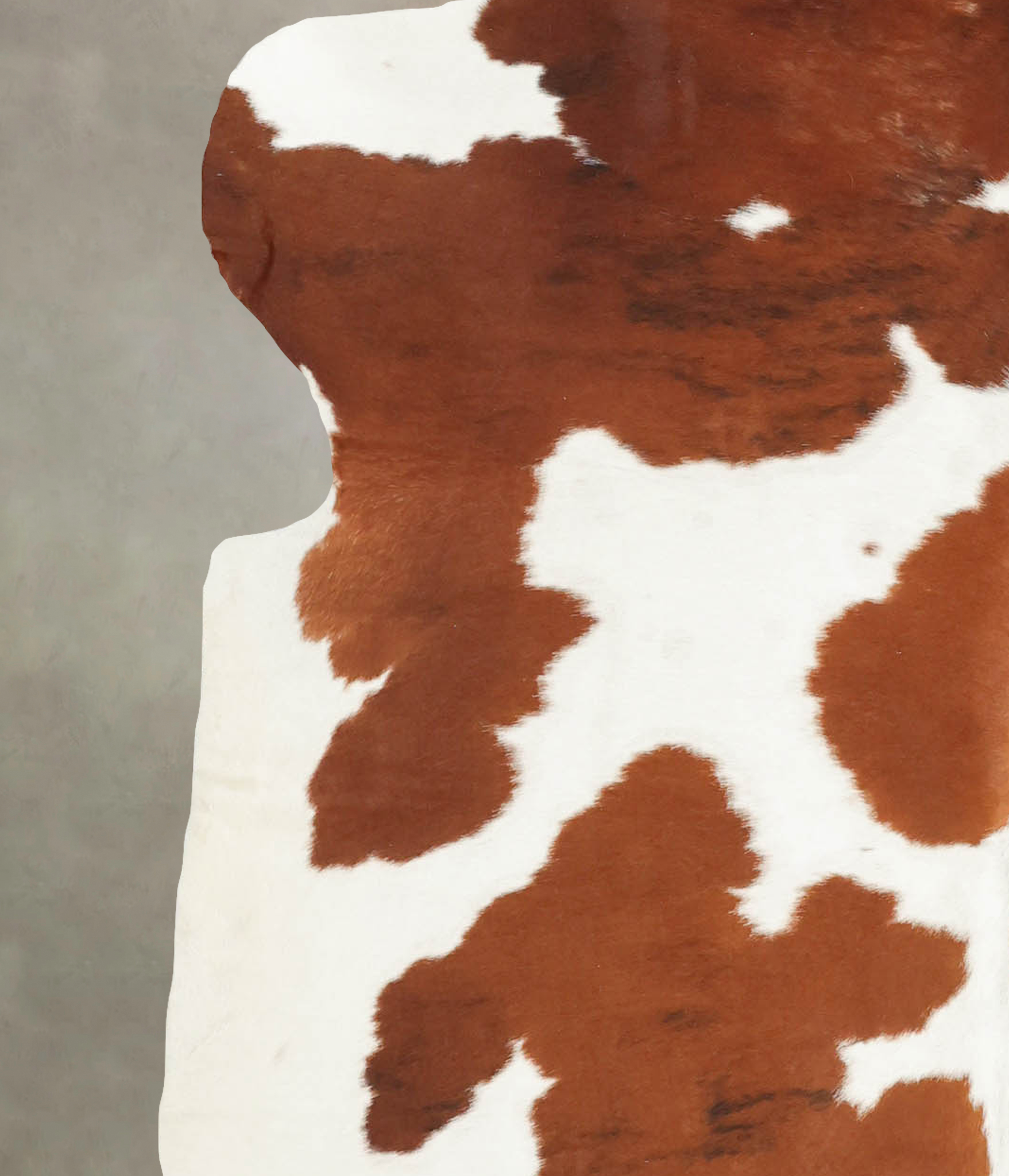 Brown and White Cowhide Rug #B5746