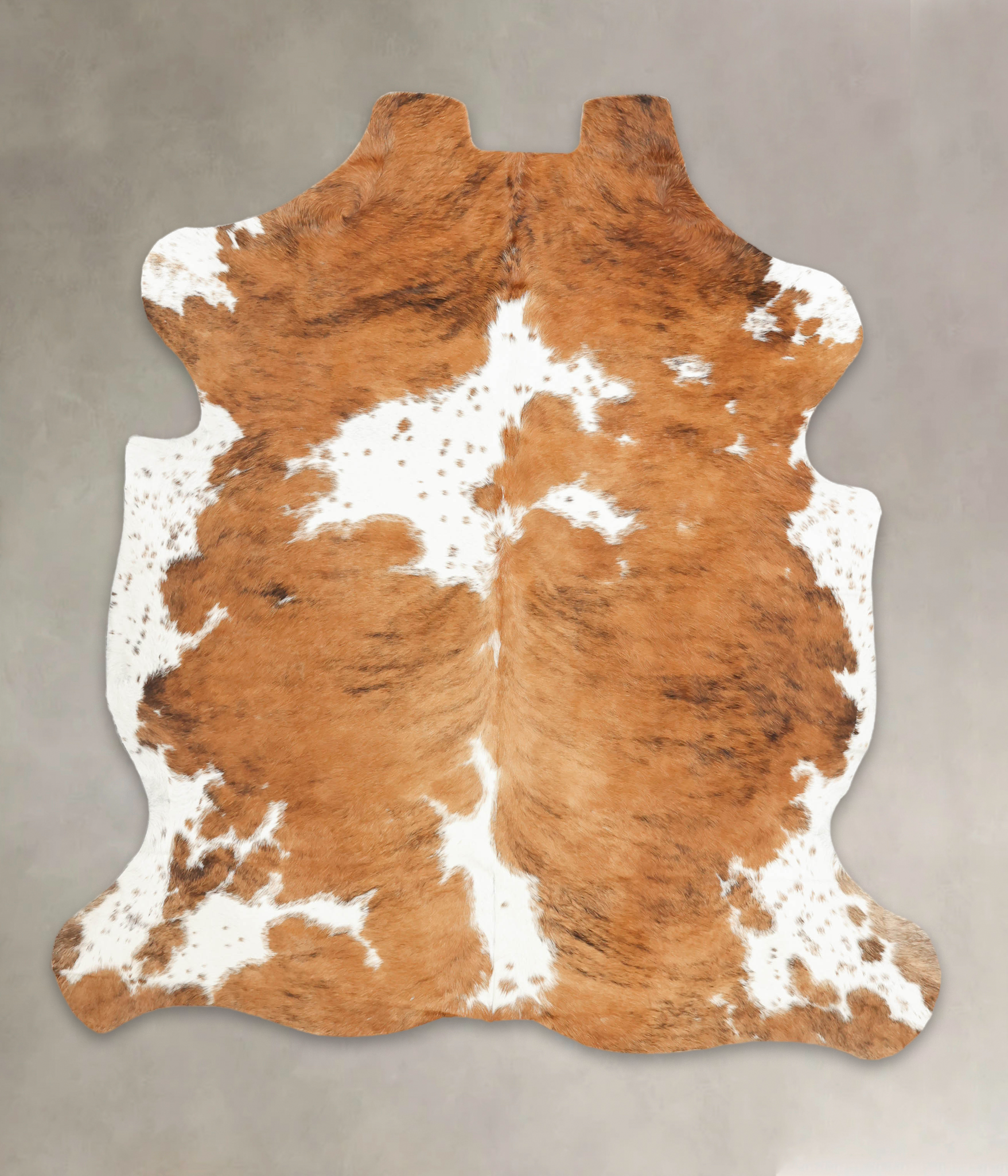 Tricolor Cowhide Rug #B5747