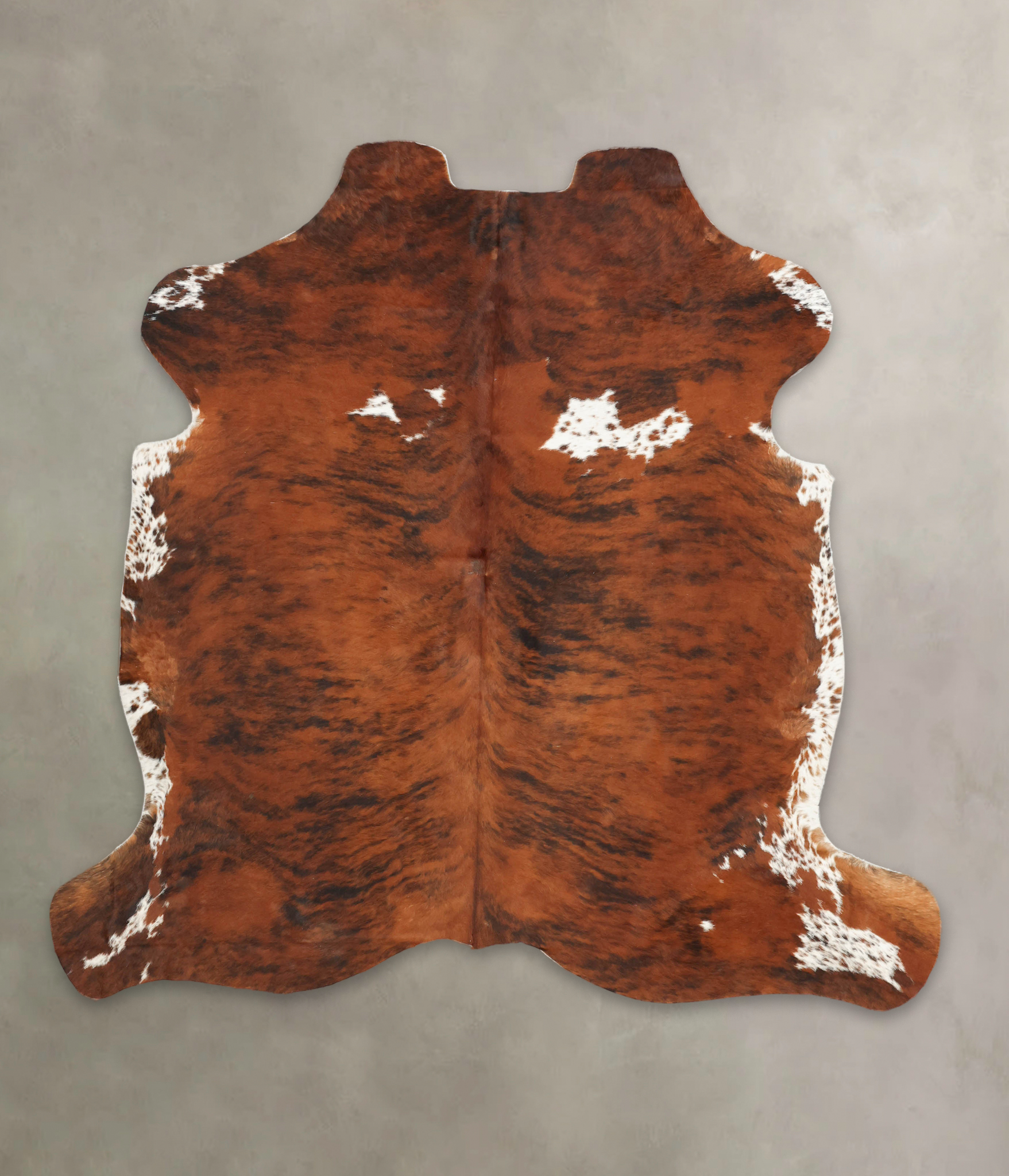 Tricolor Cowhide Rug #B5756