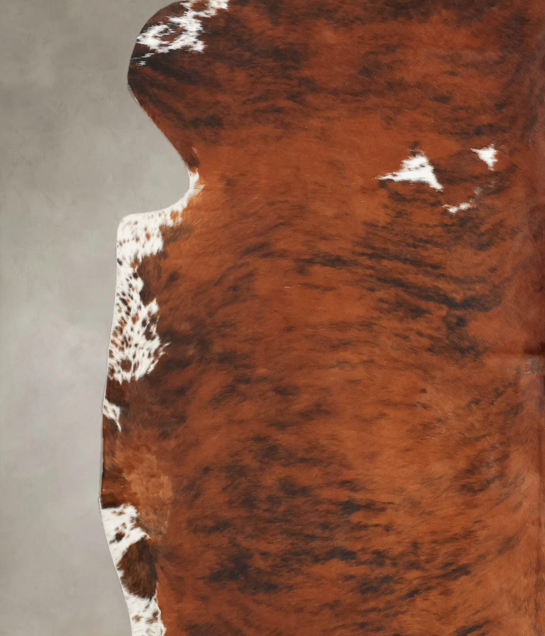 Tricolor Cowhide Rug #B5756