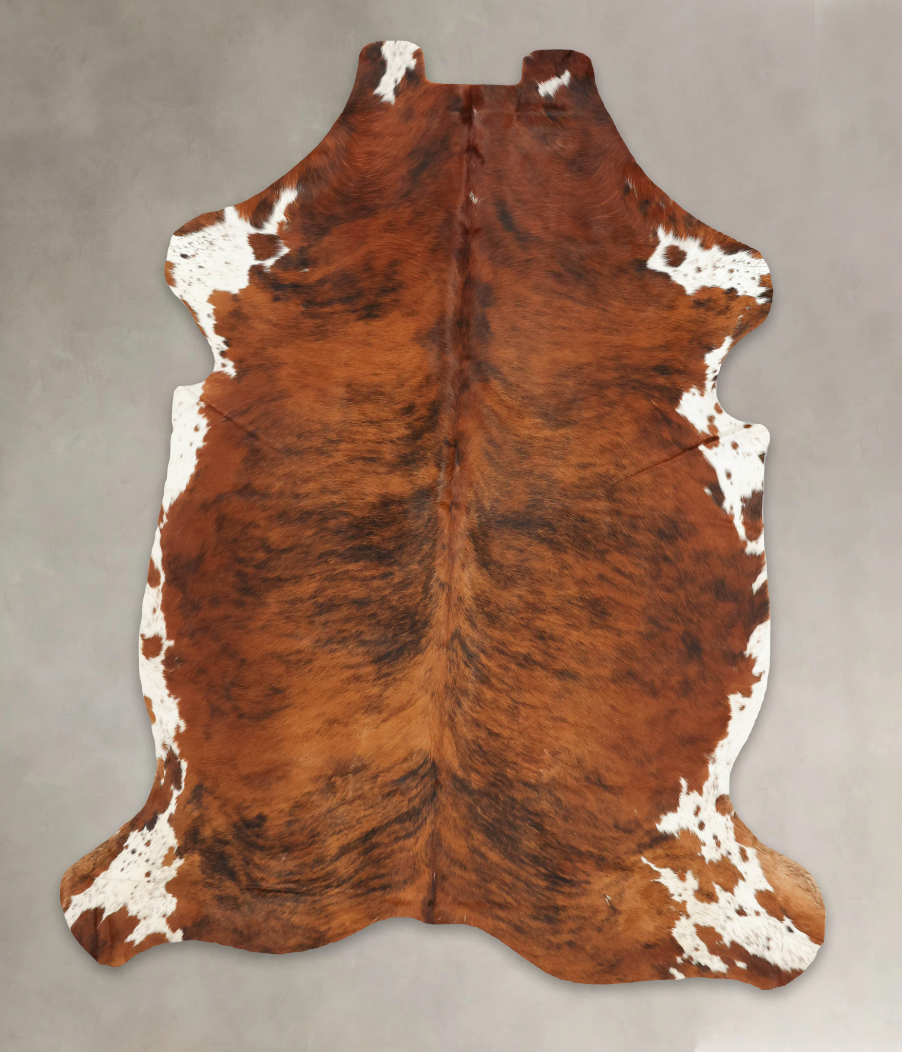 Tricolor Cowhide Rug #B5759