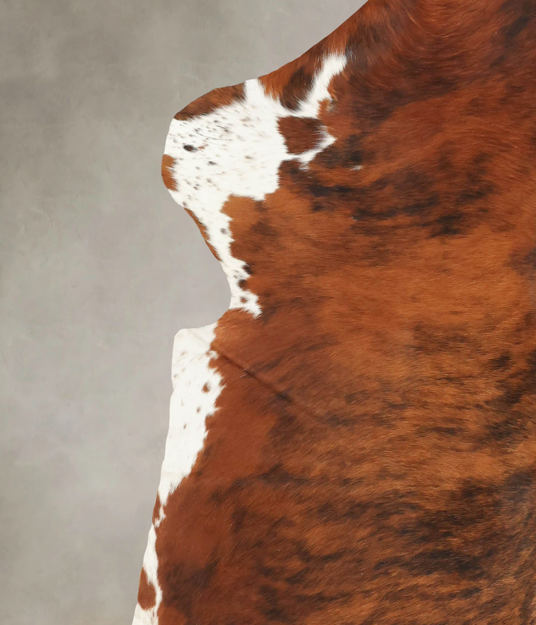 Tricolor Cowhide Rug #B5759