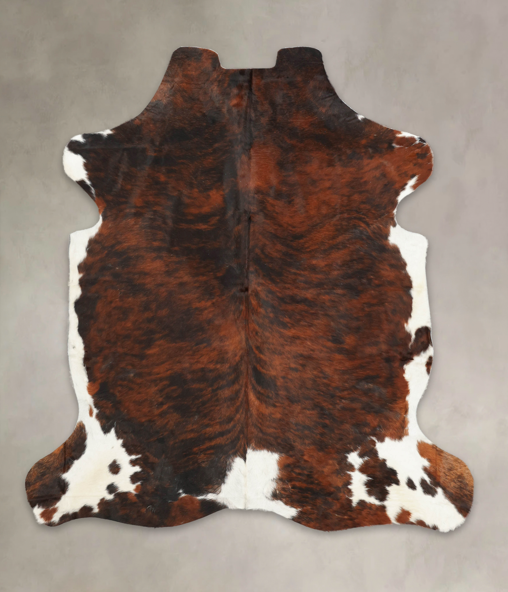 Tricolor Cowhide Rug #B5766