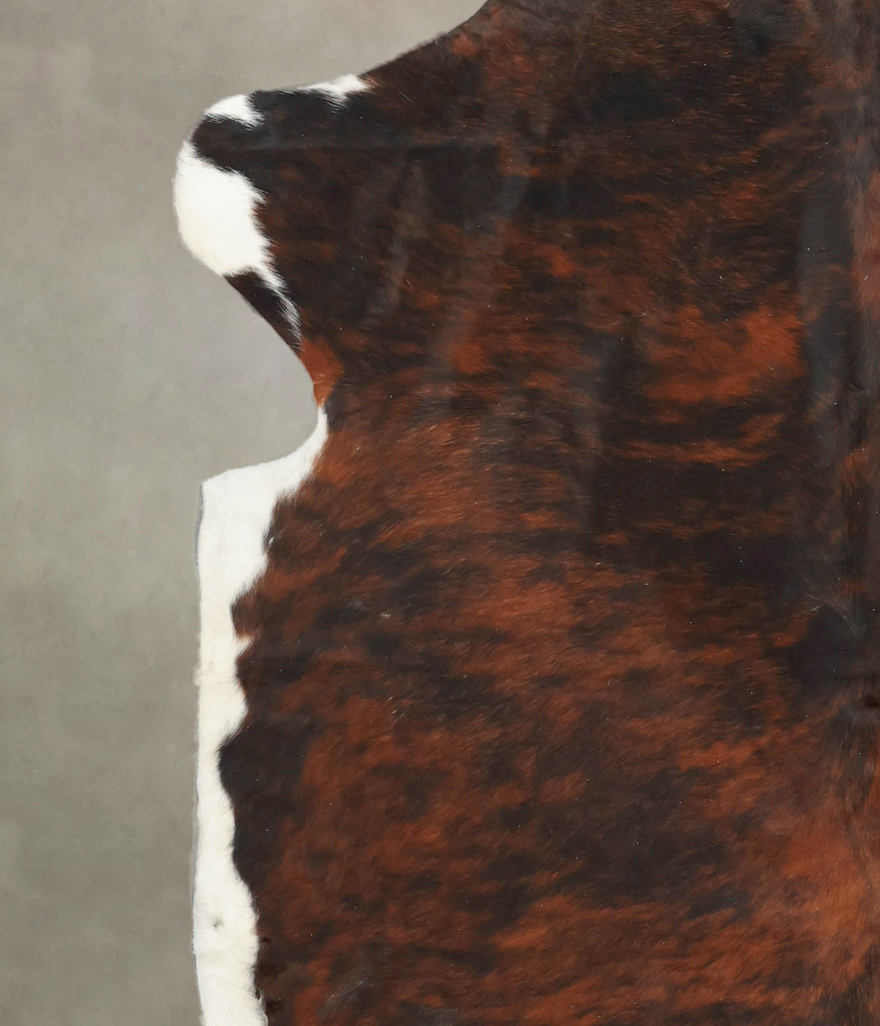 Tricolor Cowhide Rug #B5766