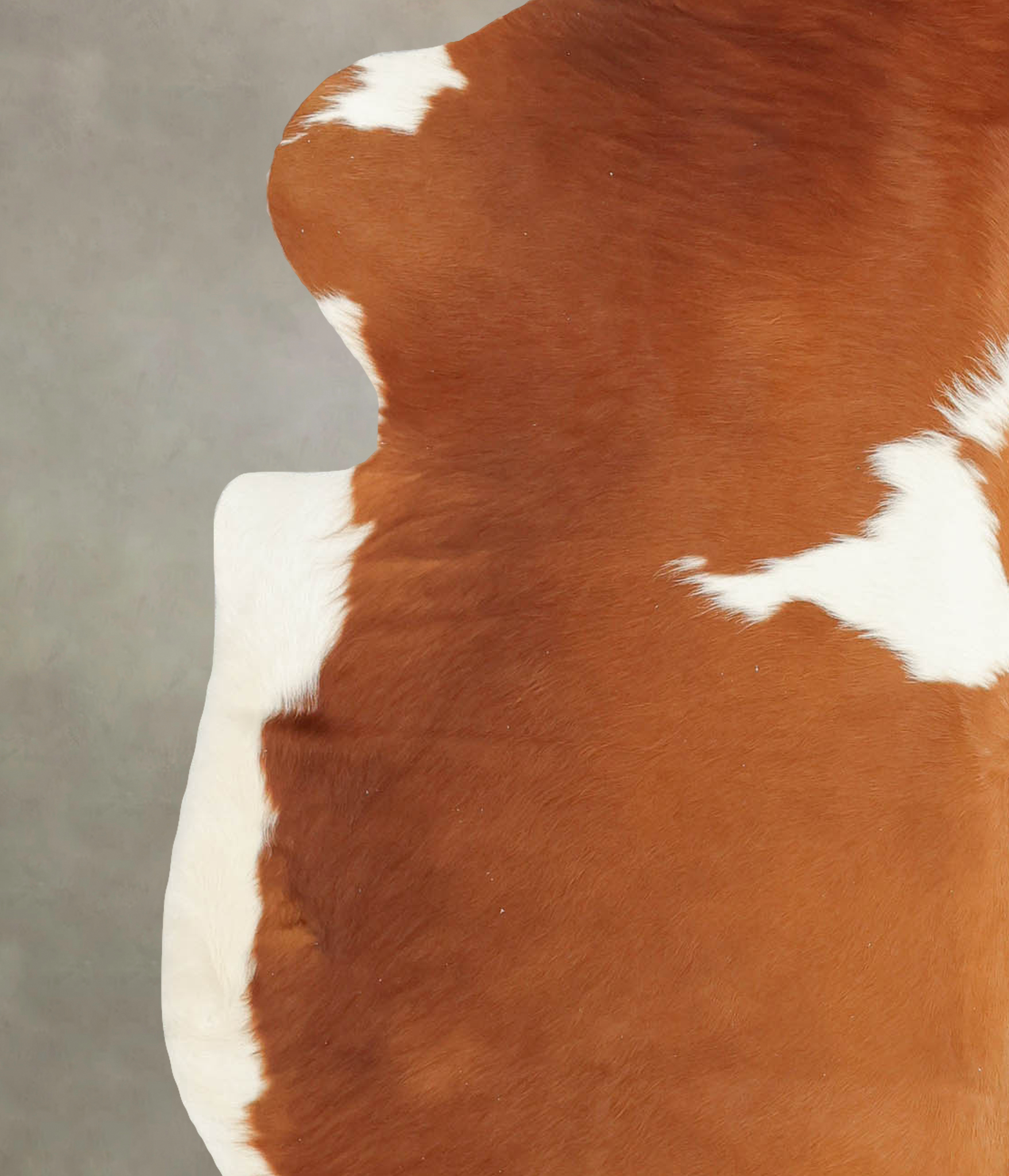 Brown and White Cowhide Rug #B5772