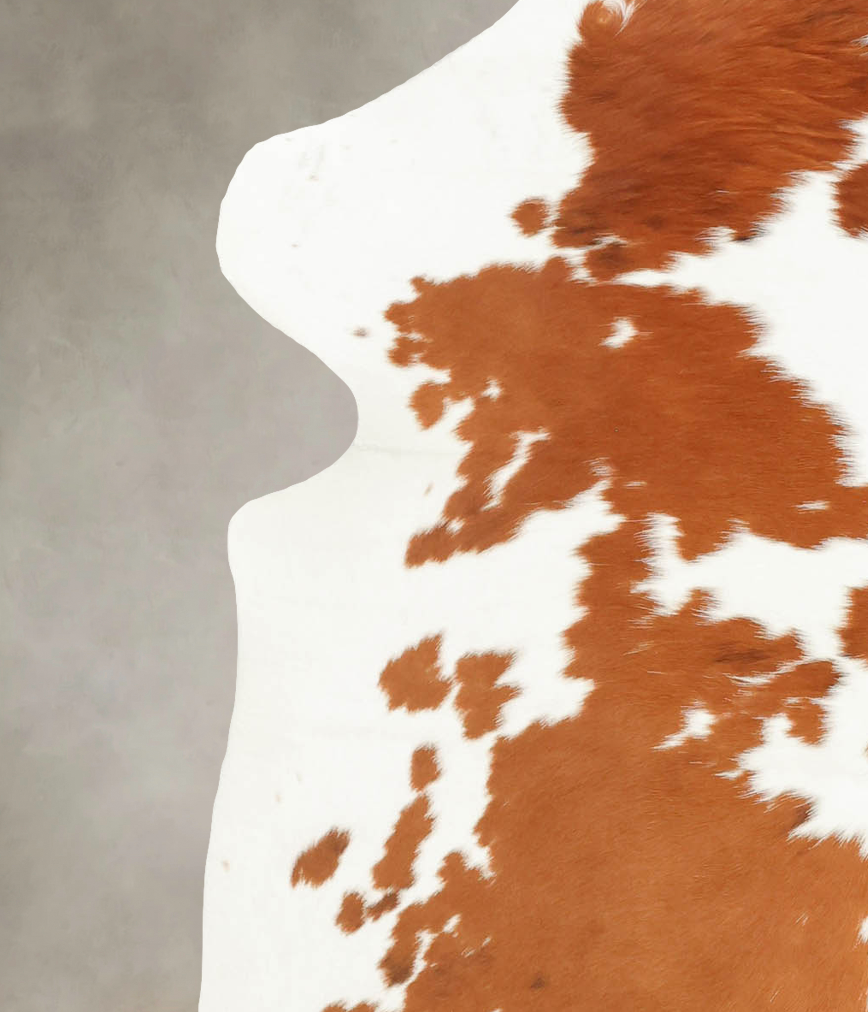 Brown and White Cowhide Rug #B5778