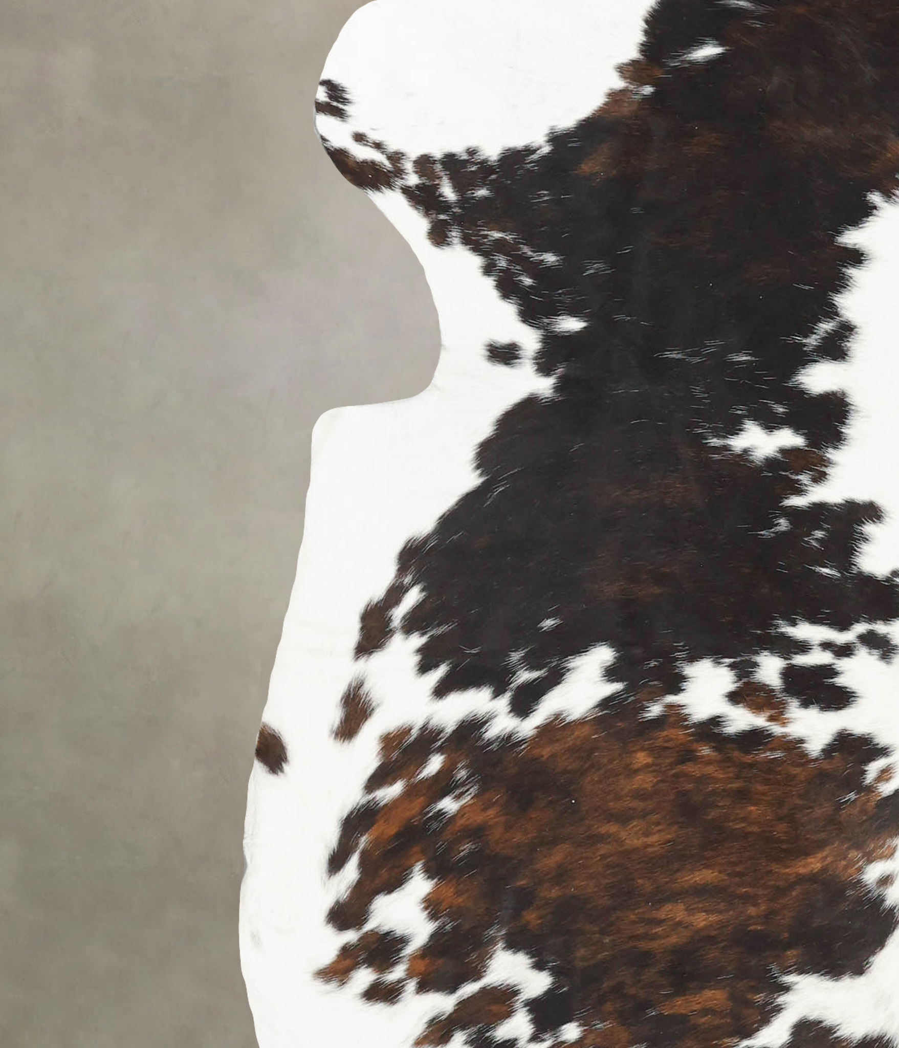 Tricolor Cowhide Rug #B5806