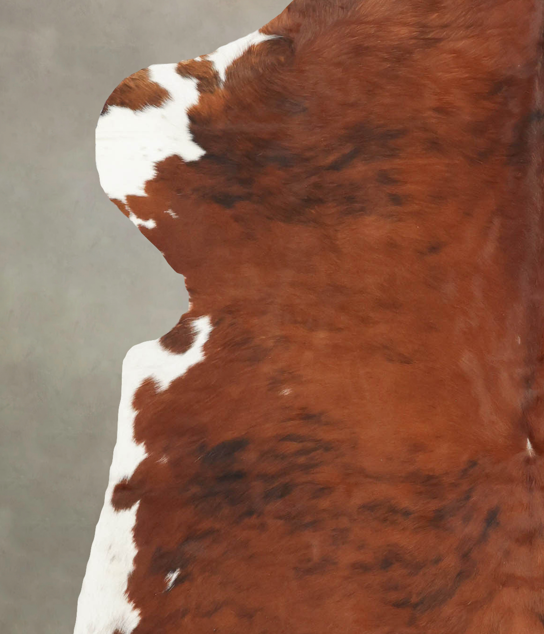 Tricolor Cowhide Rug #B5807