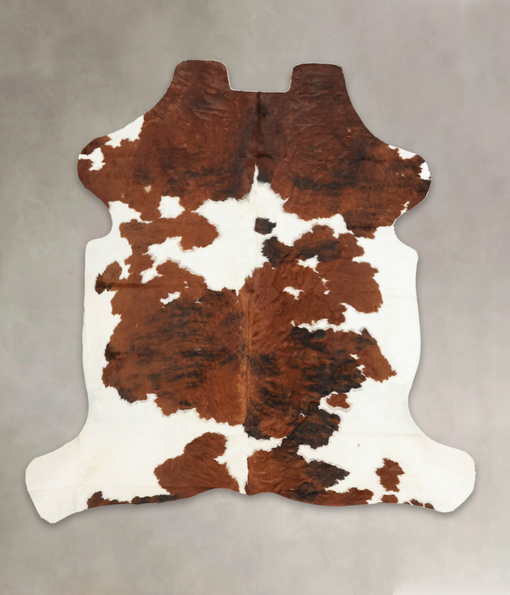 Tricolor Cowhide Rug #B5812