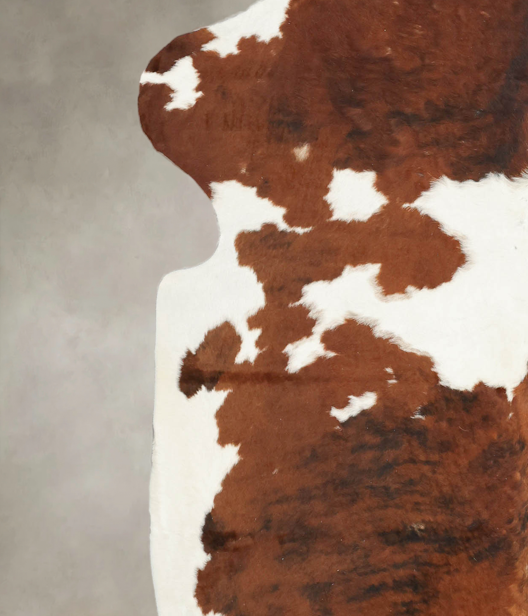 Tricolor Cowhide Rug #B5812