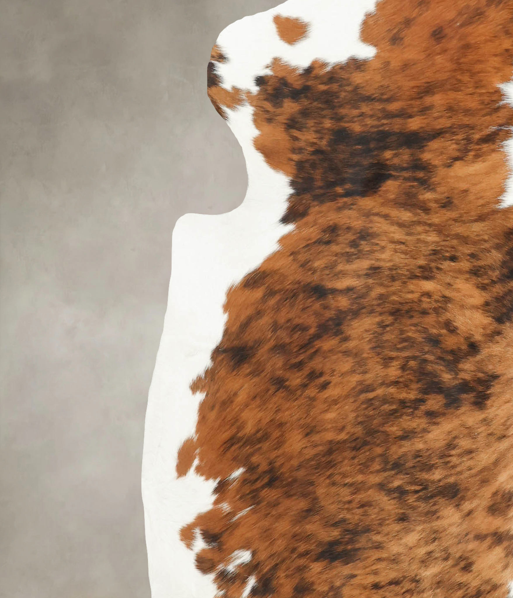 Tricolor Cowhide Rug #B5814