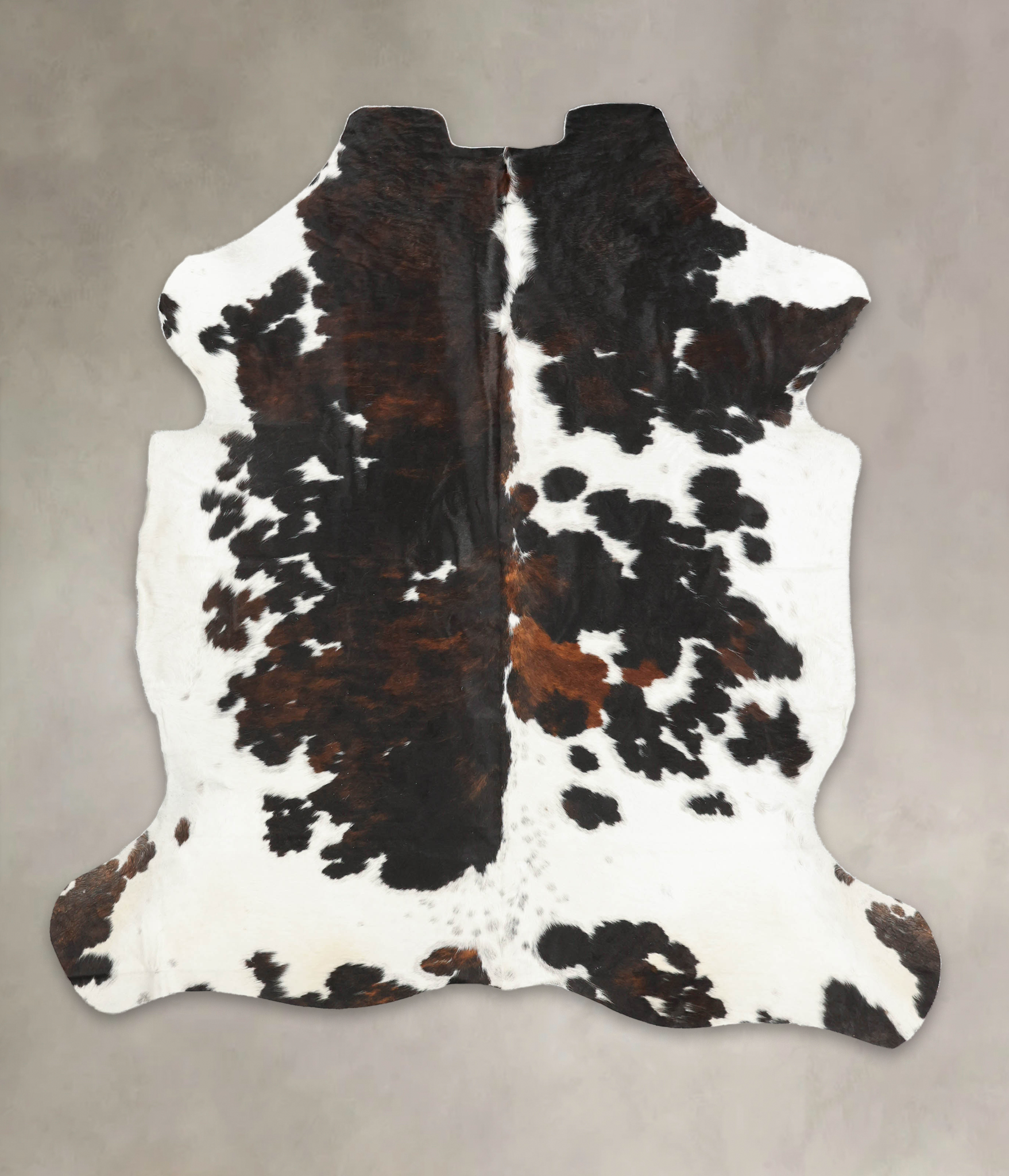 Tricolor Cowhide Rug #B5816