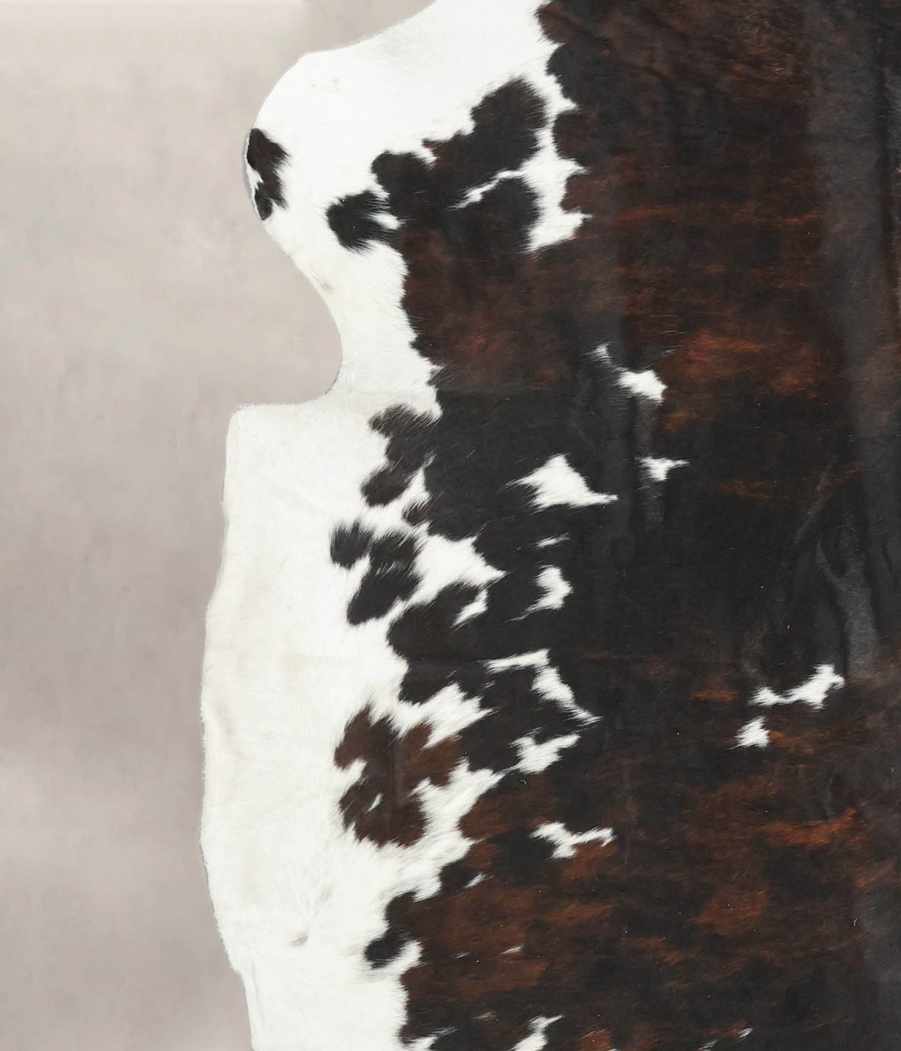 Tricolor Cowhide Rug #B5816