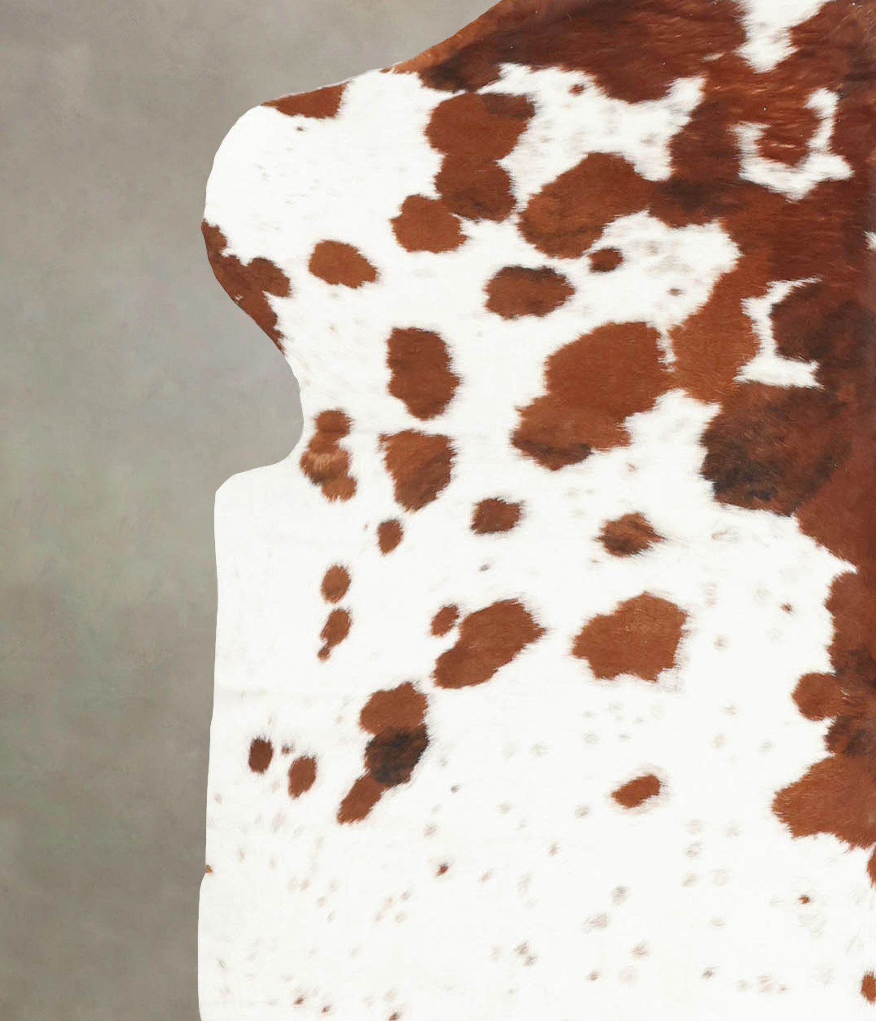 Brown and White Cowhide Rug #B5817