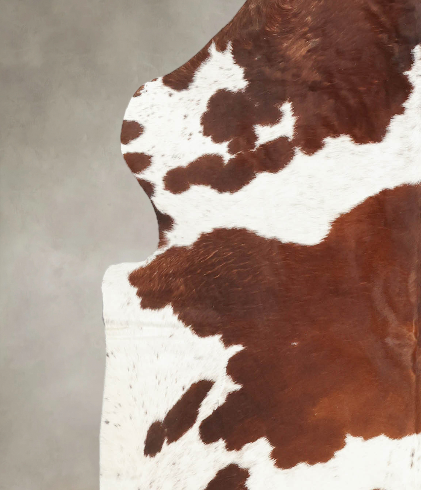 Brown and White Cowhide Rug #B5820