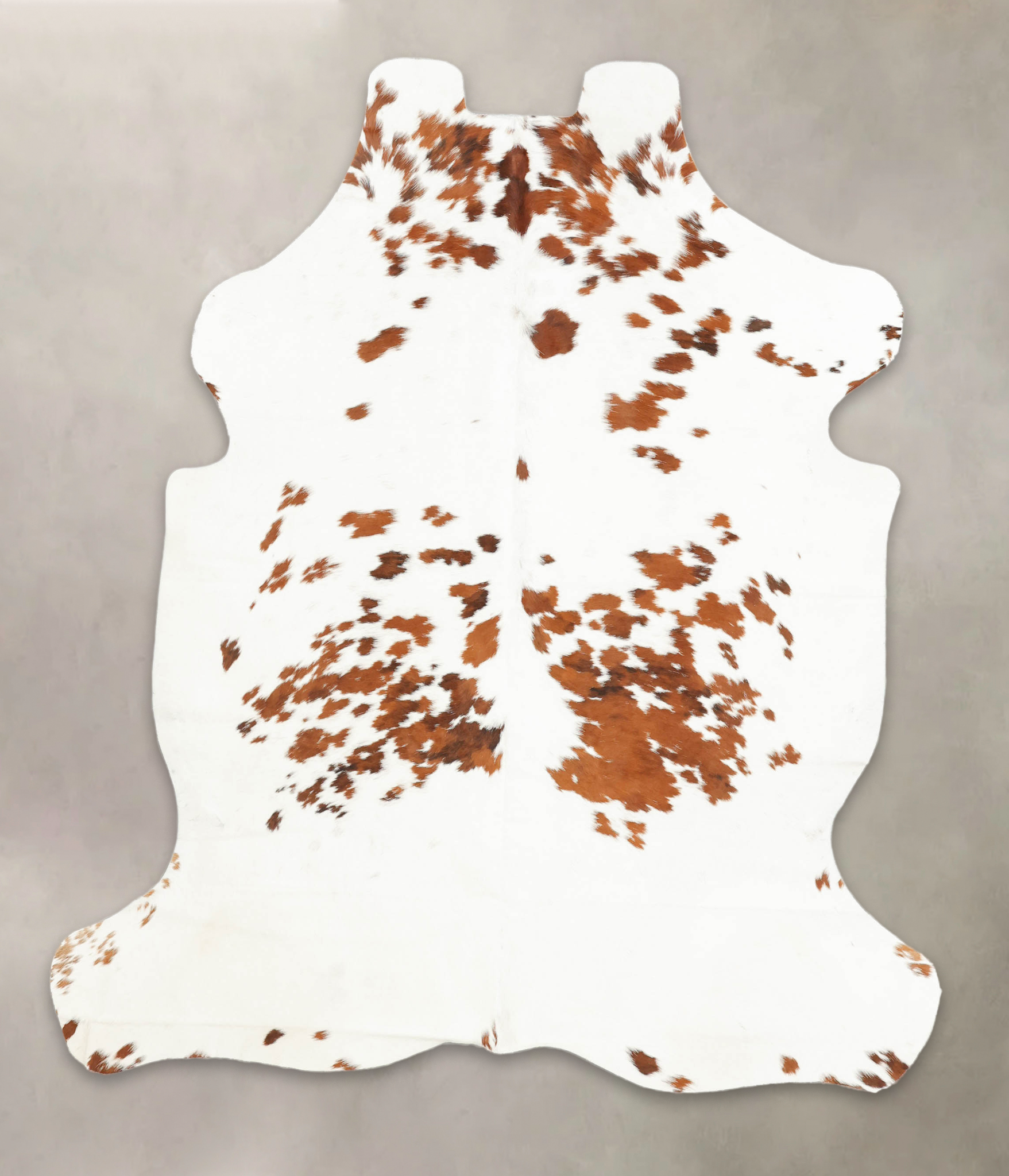 Tricolor Cowhide Rug #B5823