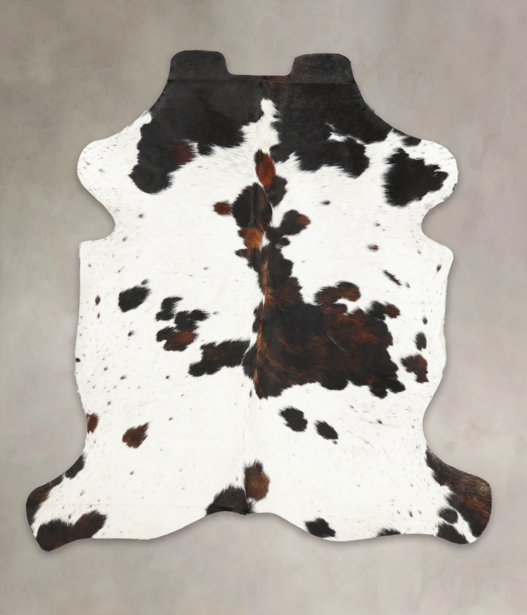 Tricolor Cowhide Rug #B5826