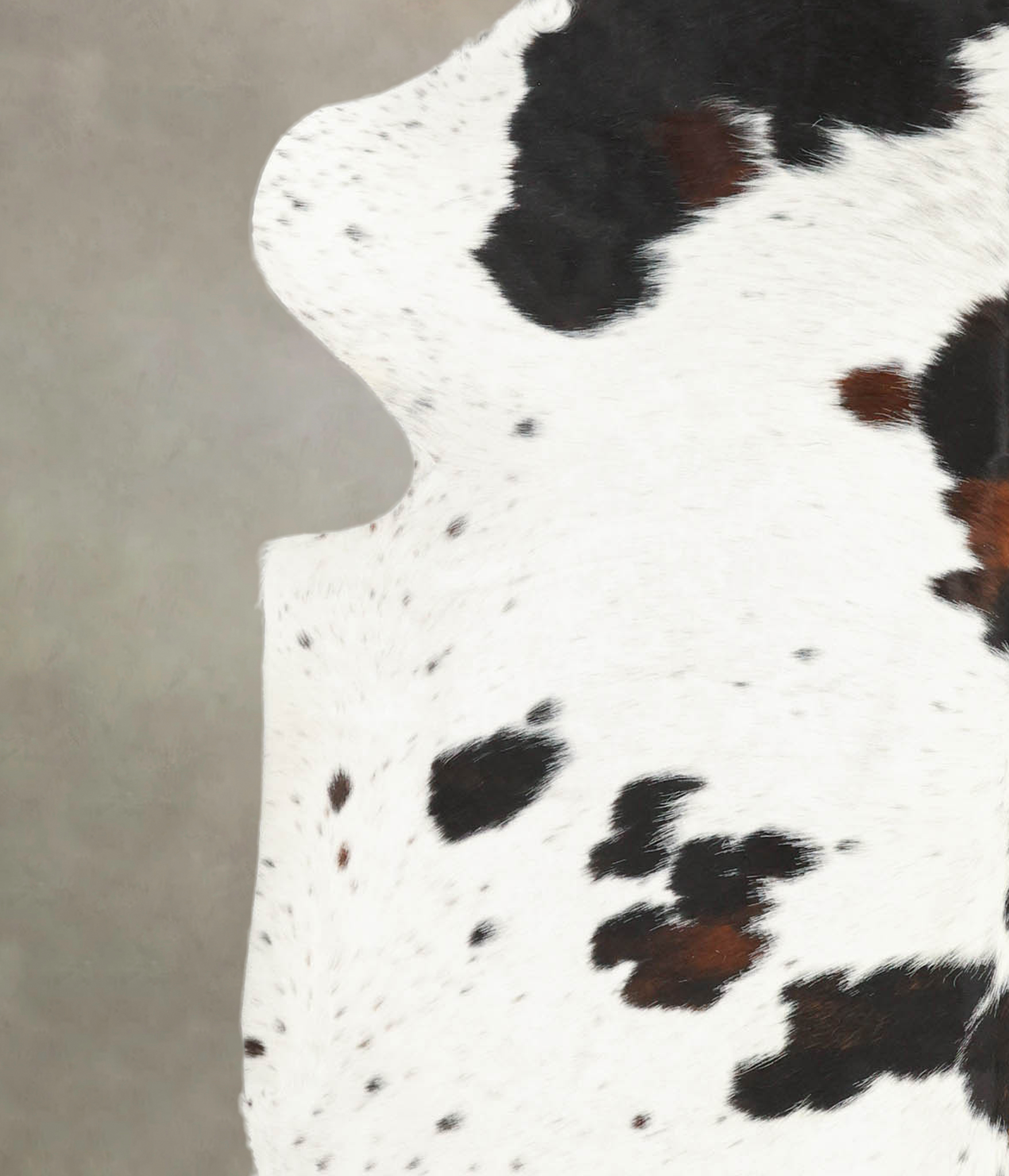 Tricolor Cowhide Rug #B5826