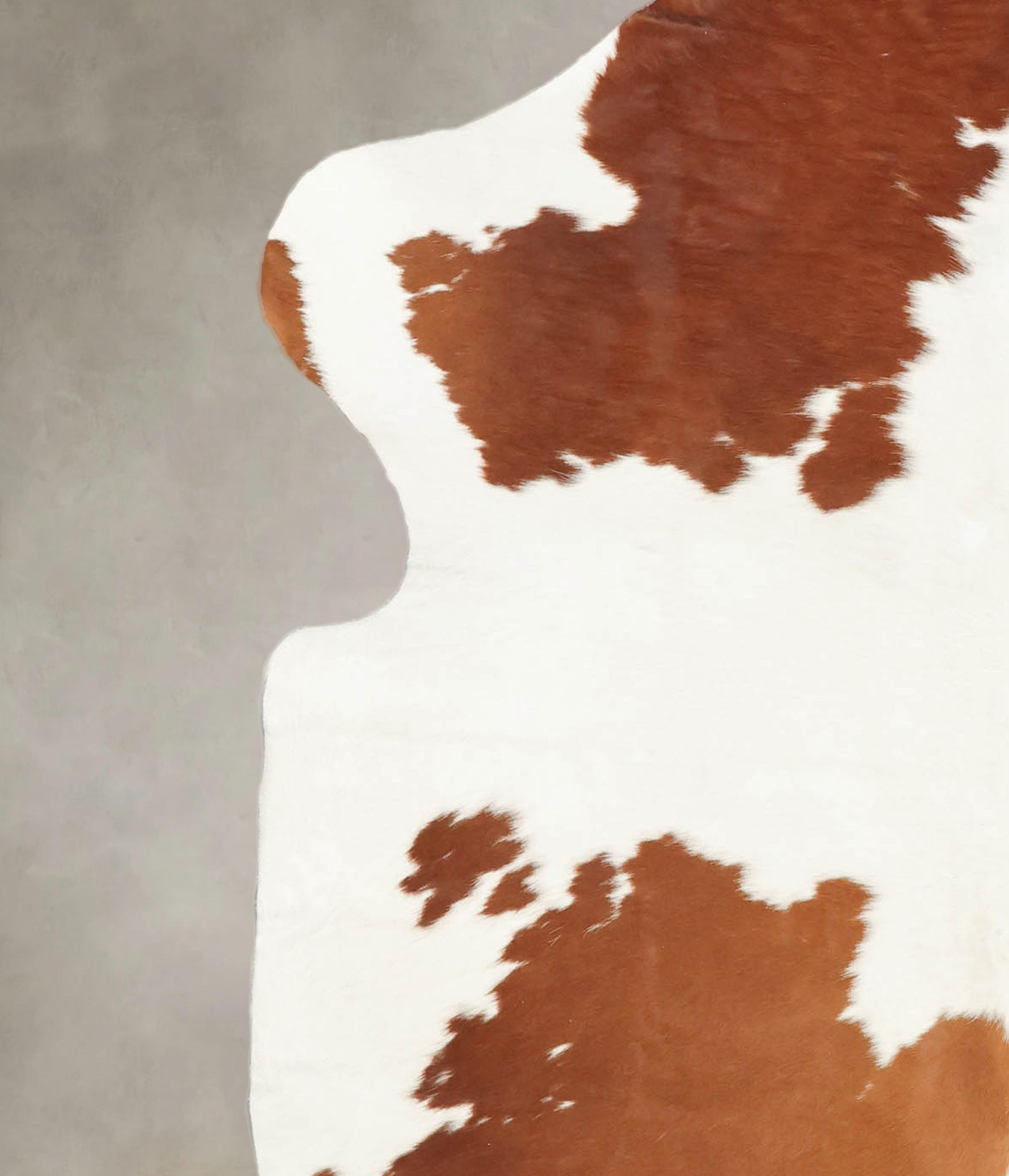 Brown and White Cowhide Rug #B5842