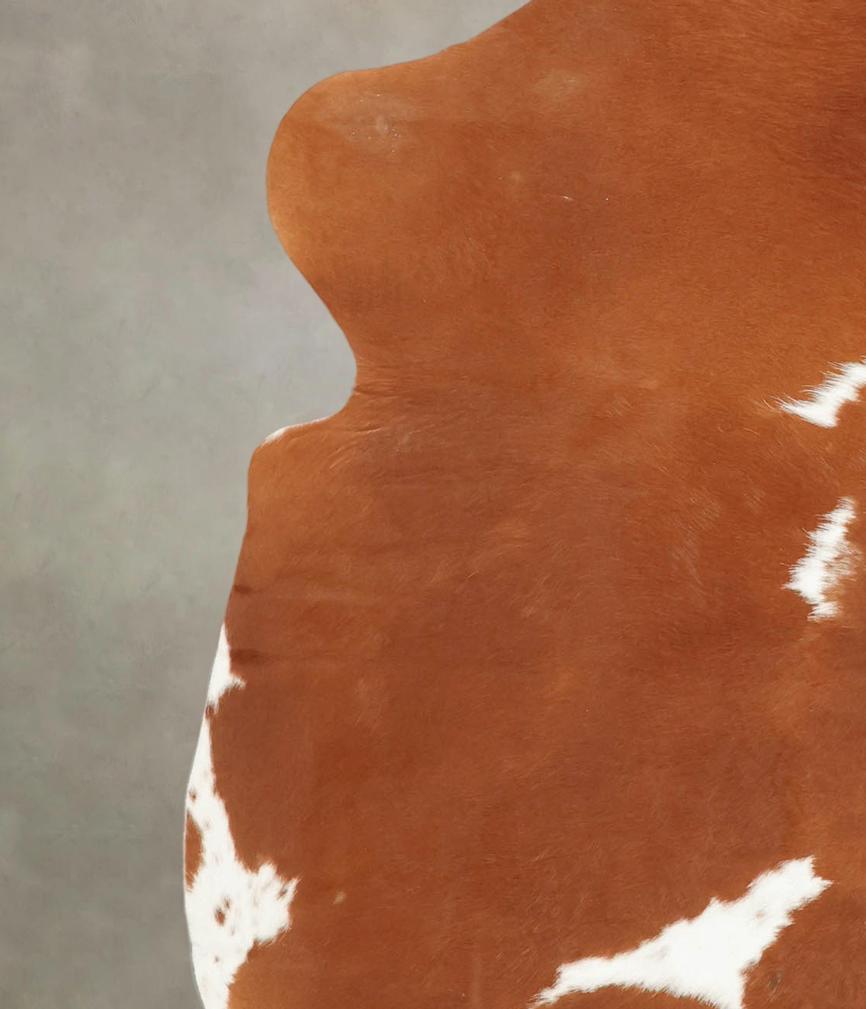 Brown and White Cowhide Rug #B5848