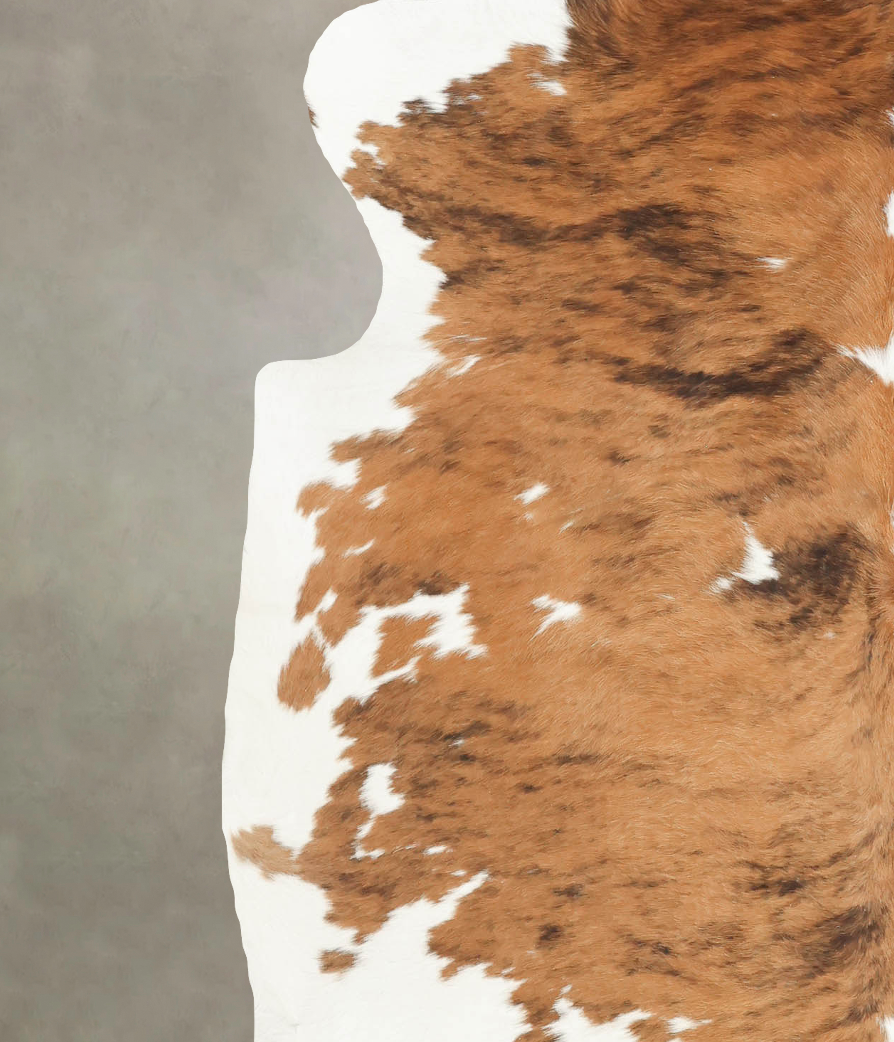 Tricolor Cowhide Rug #B5867