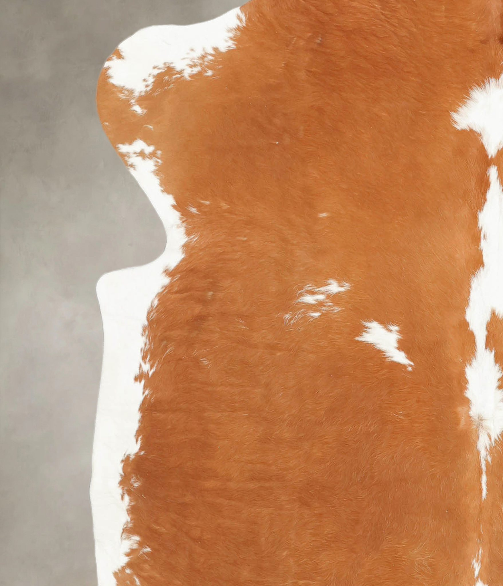 Brown and White Cowhide Rug #B5882