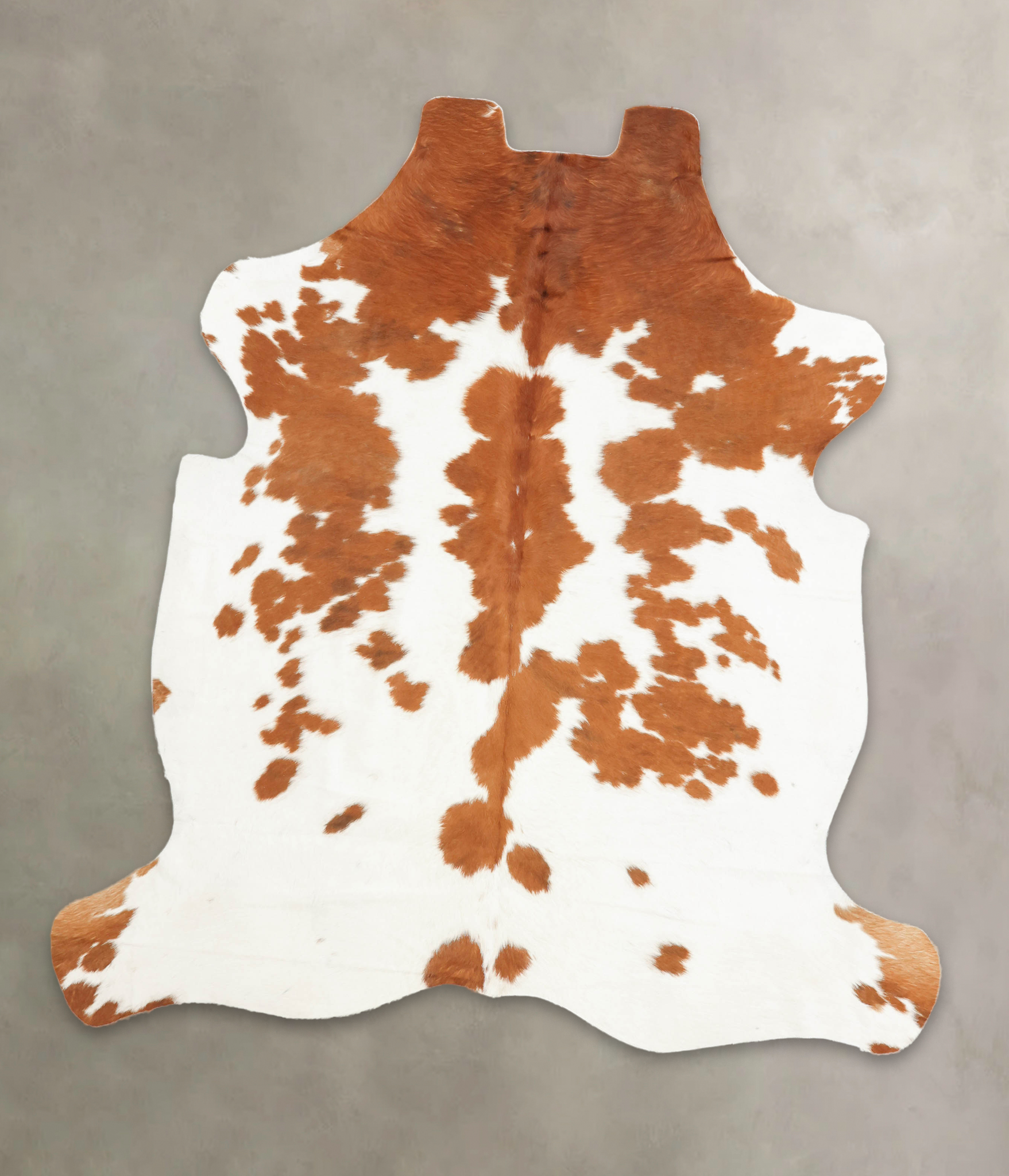 Brown and White Cowhide Rug #B5891