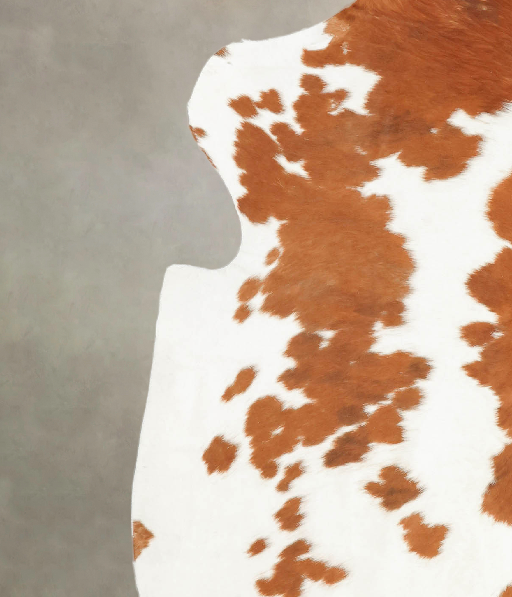 Brown and White Cowhide Rug #B5891