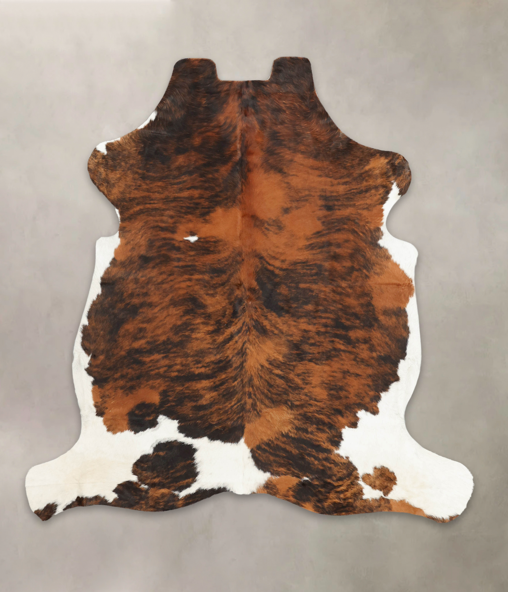 Tricolor Cowhide Rug #B5892