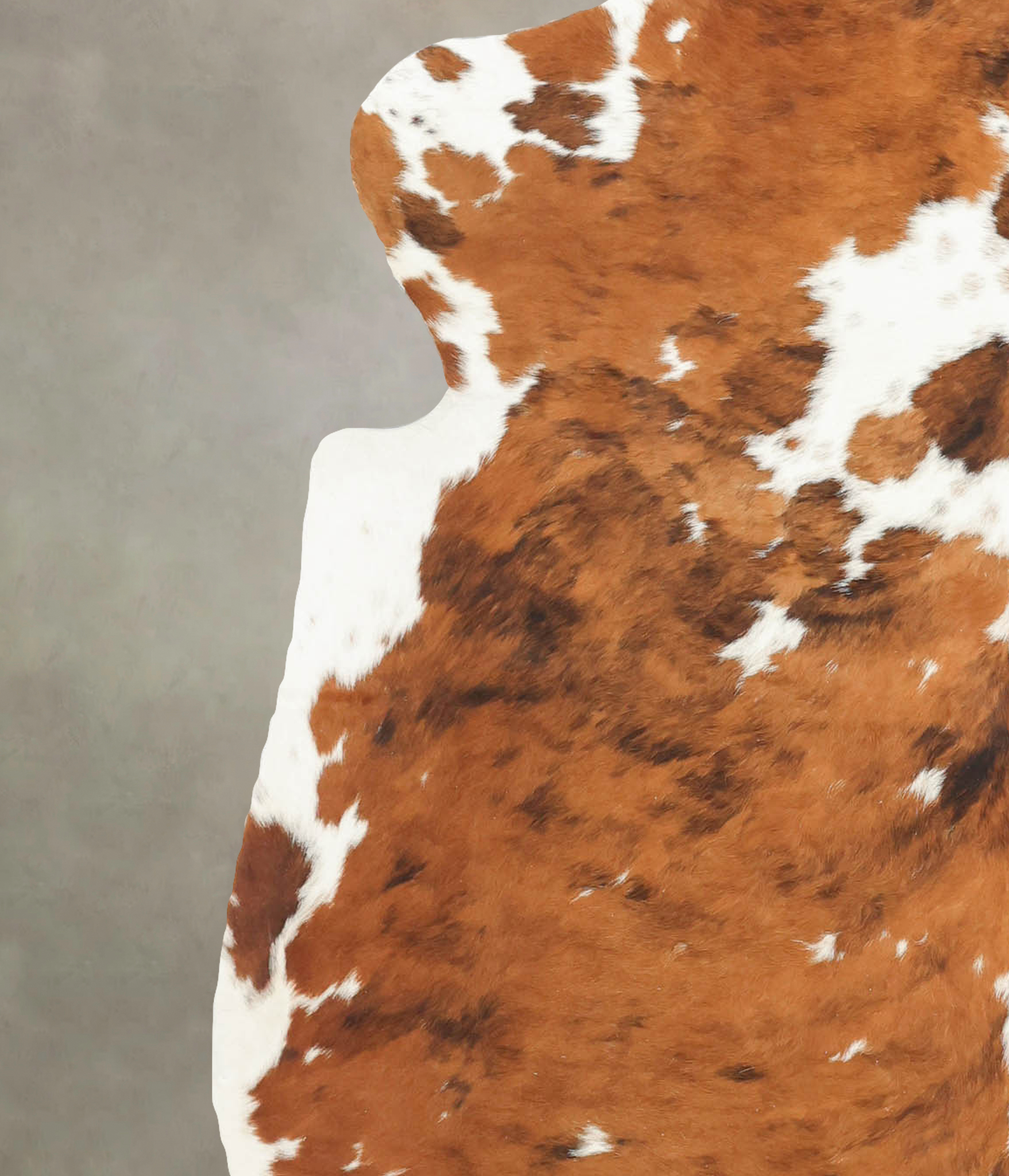 Tricolor Cowhide Rug #B5902