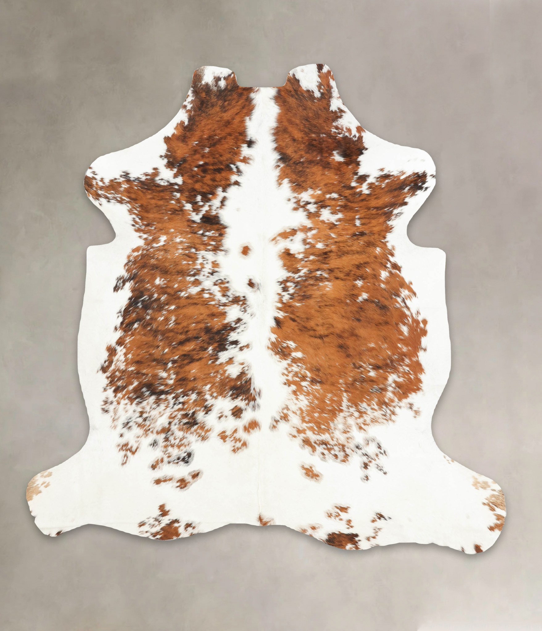 Tricolor Cowhide Rug #B5903