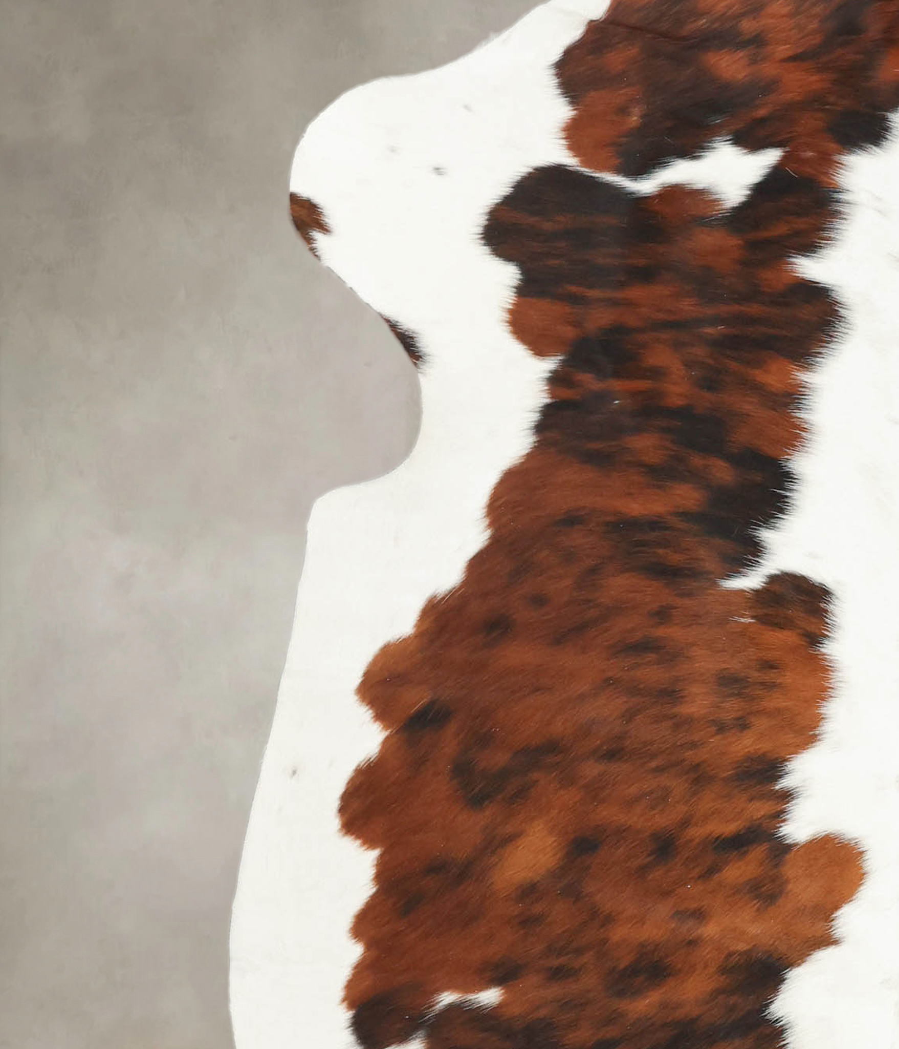 Tricolor Cowhide Rug #B5912