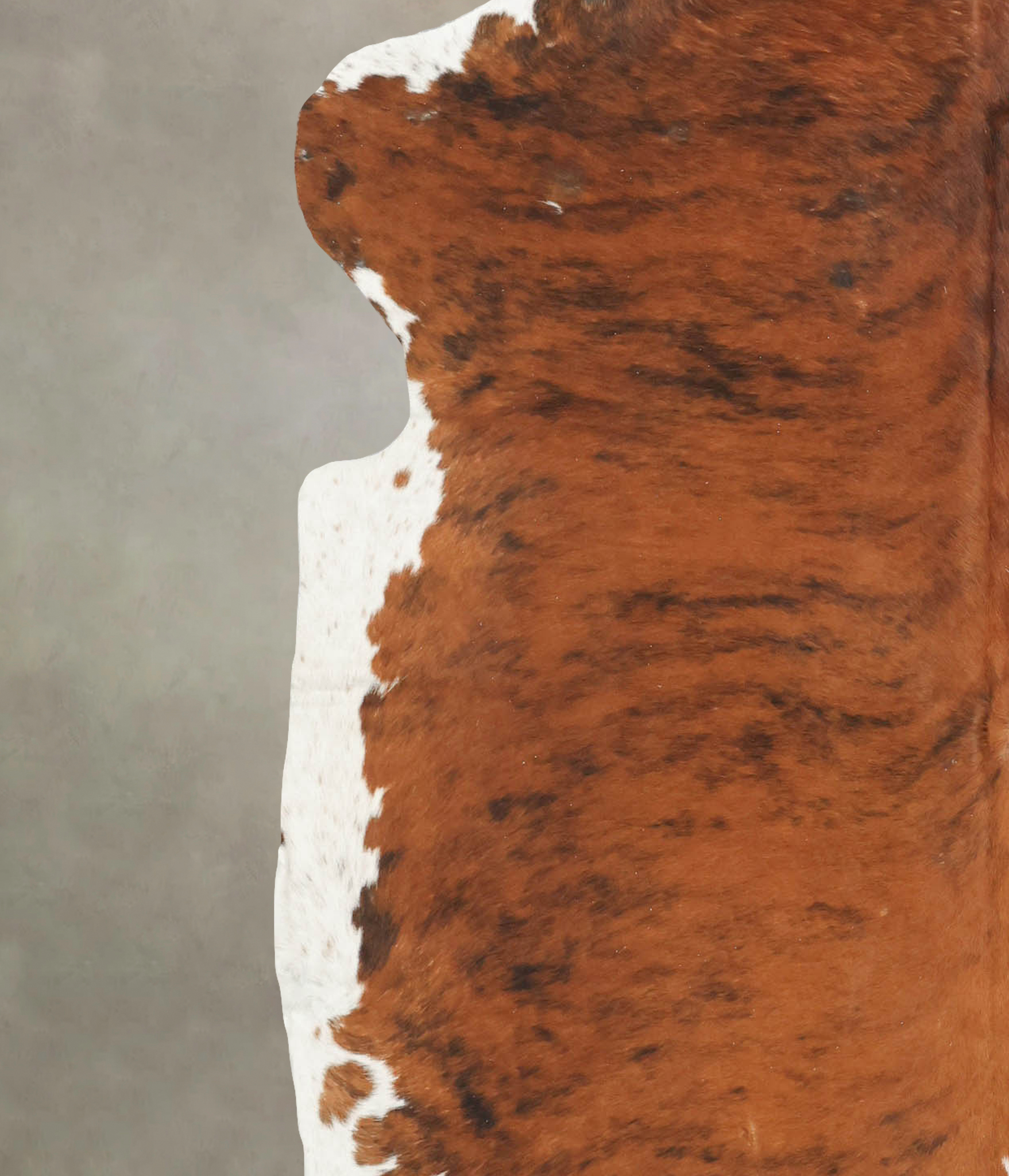 Tricolor Cowhide Rug #B5918