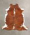 Tricolor X-Large European Cowhide Rug 6'9