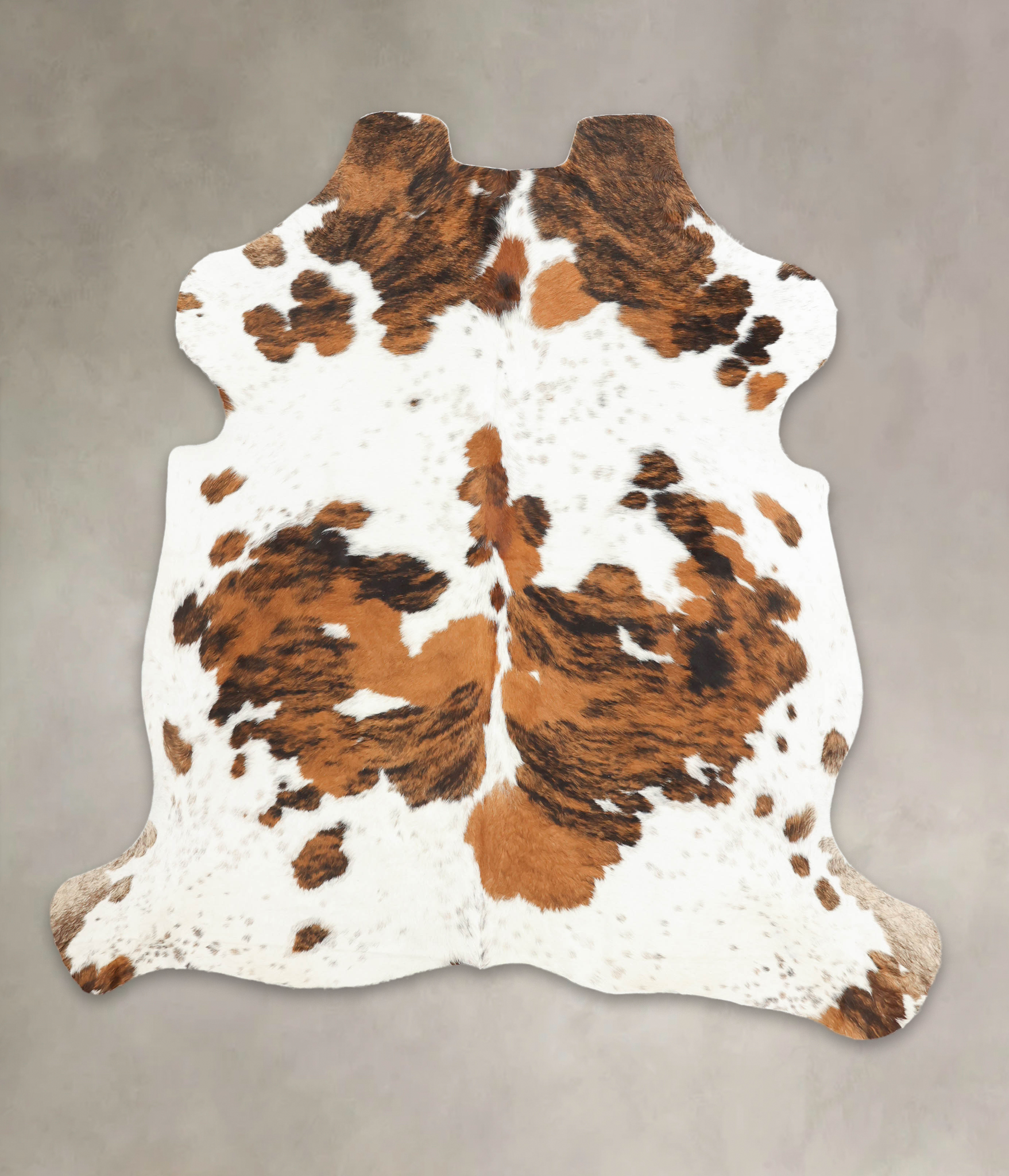 Tricolor Cowhide Rug #B5937