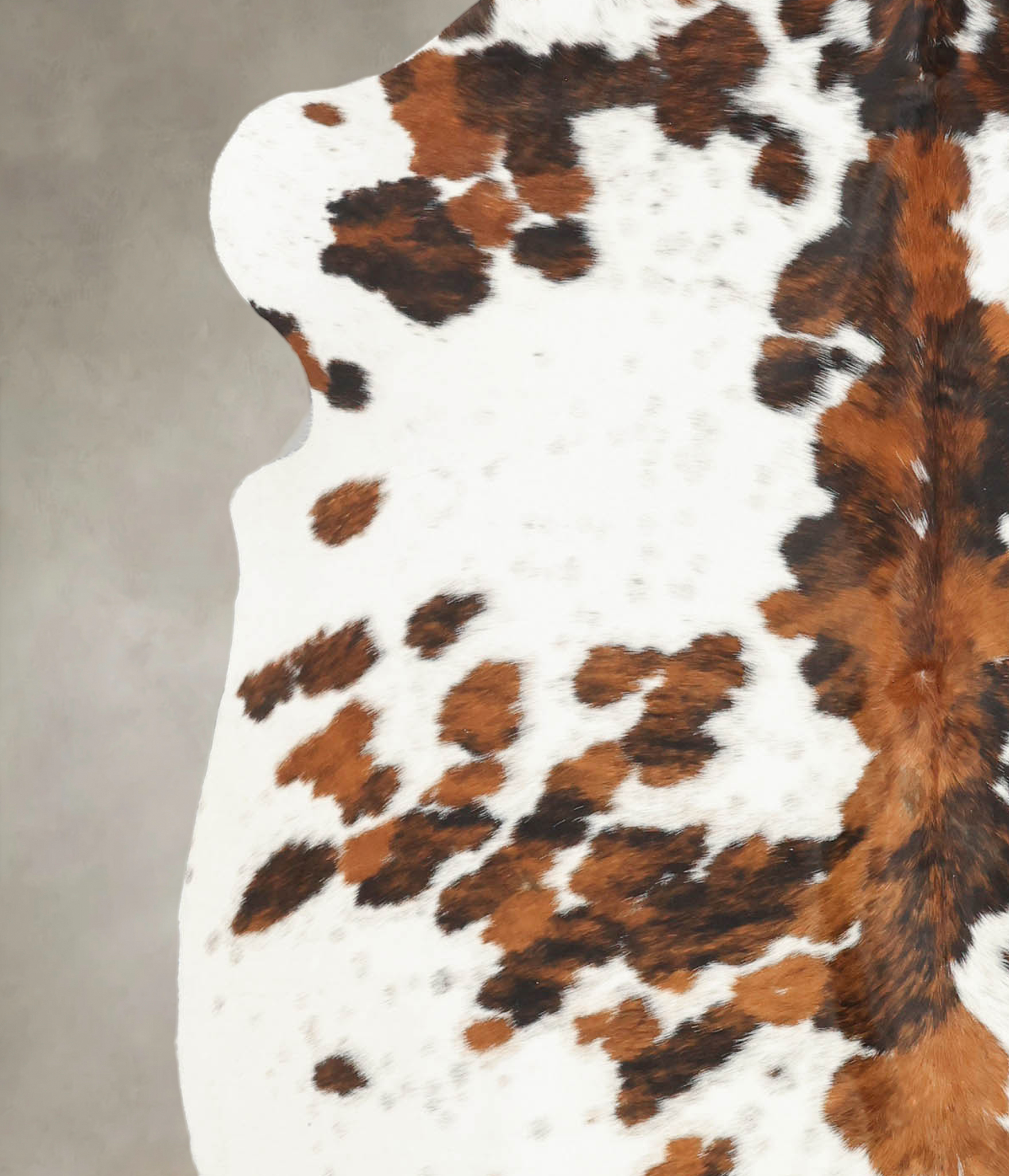 Tricolor Cowhide Rug #B5940