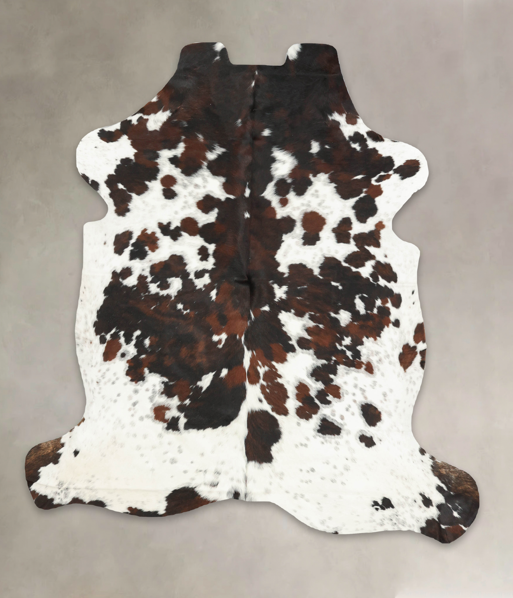 Tricolor Cowhide Rug #B5942