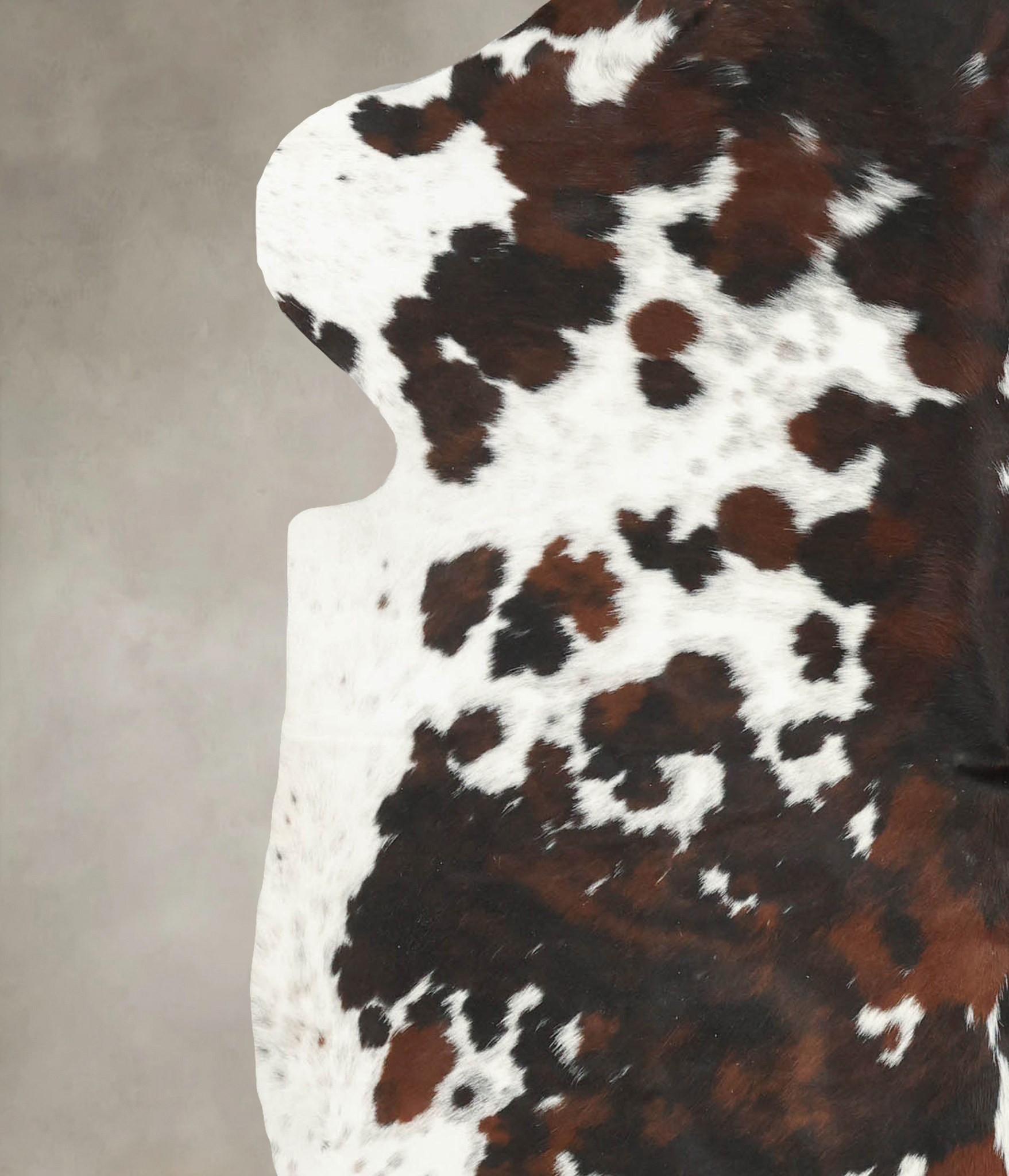 Tricolor Cowhide Rug #B5942