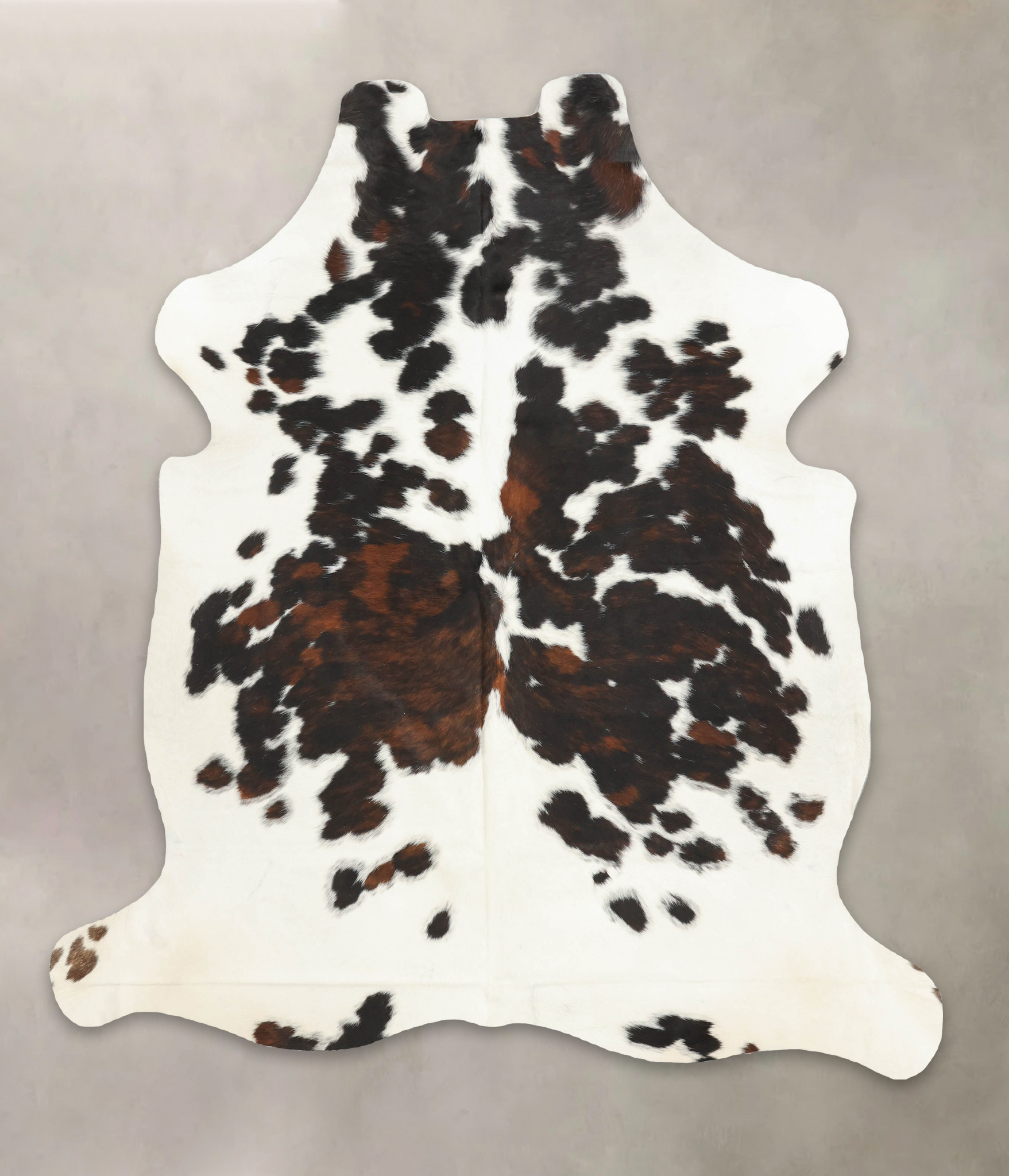 Tricolor Cowhide Rug #B5945