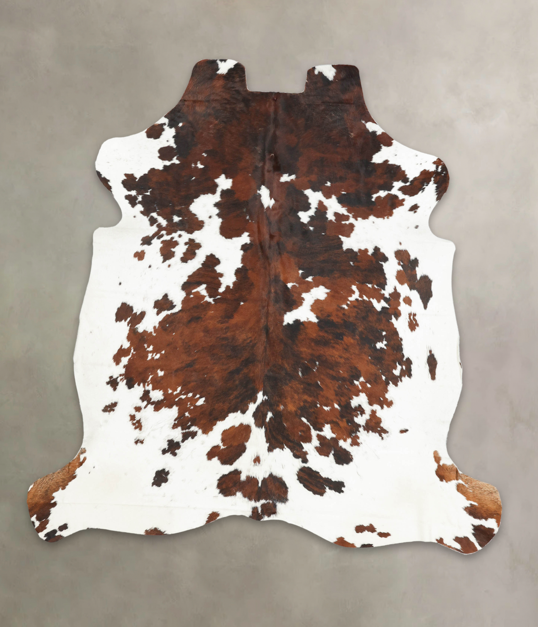 Tricolor Cowhide Rug #B5946