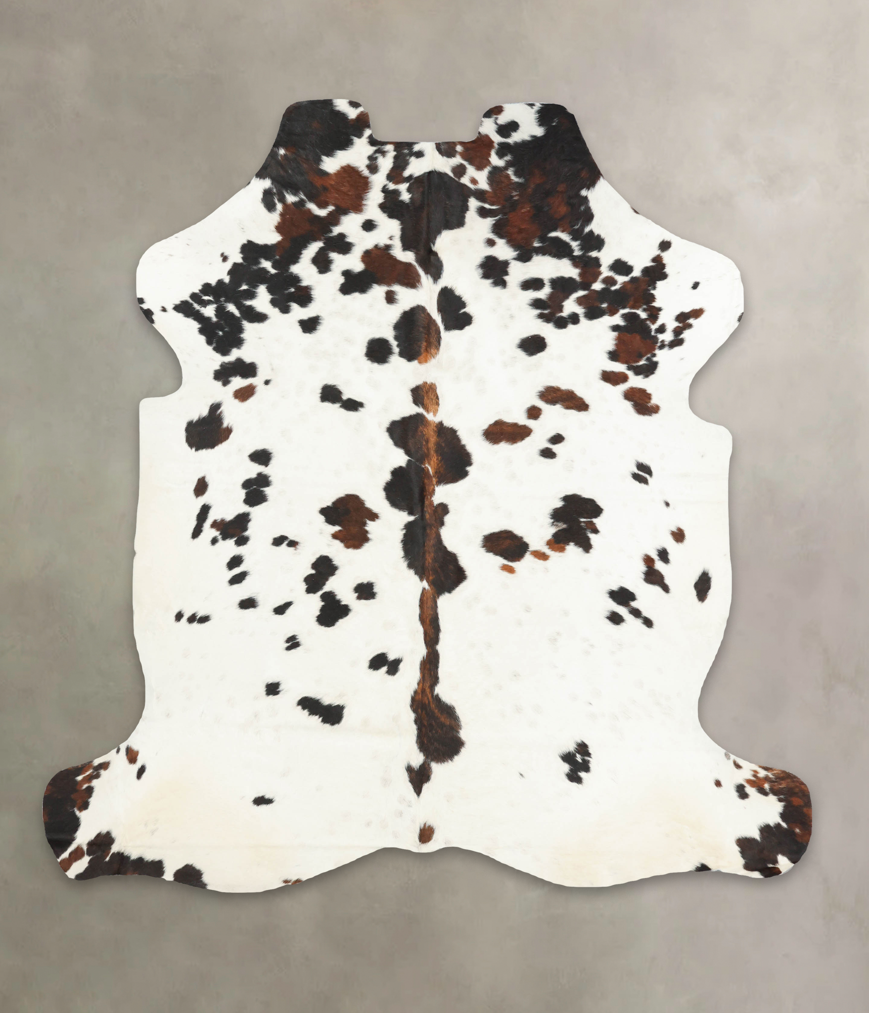 Tricolor Cowhide Rug #B5949